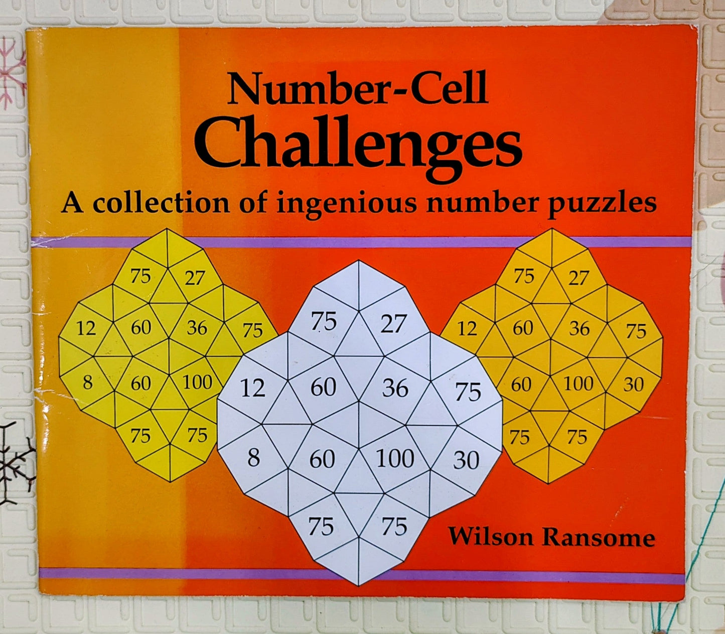 Number-Cell Challenges by Wilson Ranson | Number Puzzles