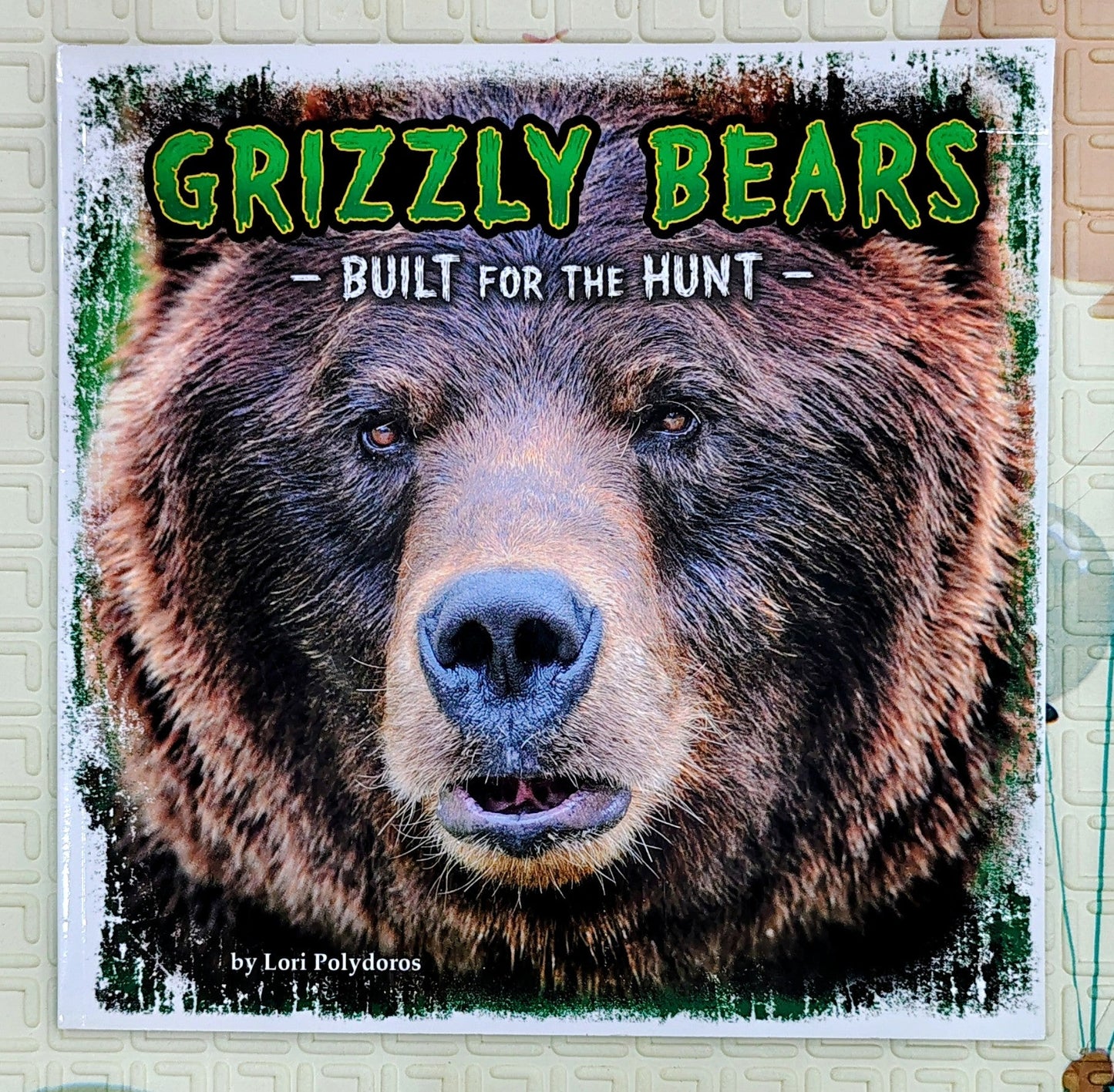 Grizzly Bears: Built for the Hunt by Lori Polydoros | First Facts