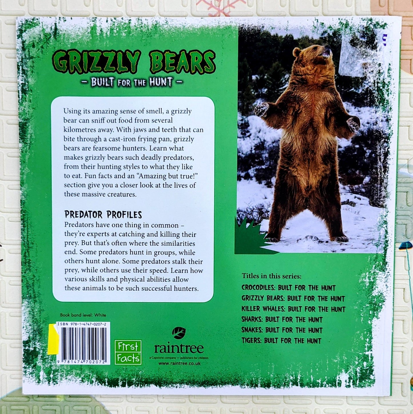 Grizzly Bears: Built for the Hunt by Lori Polydoros | First Facts