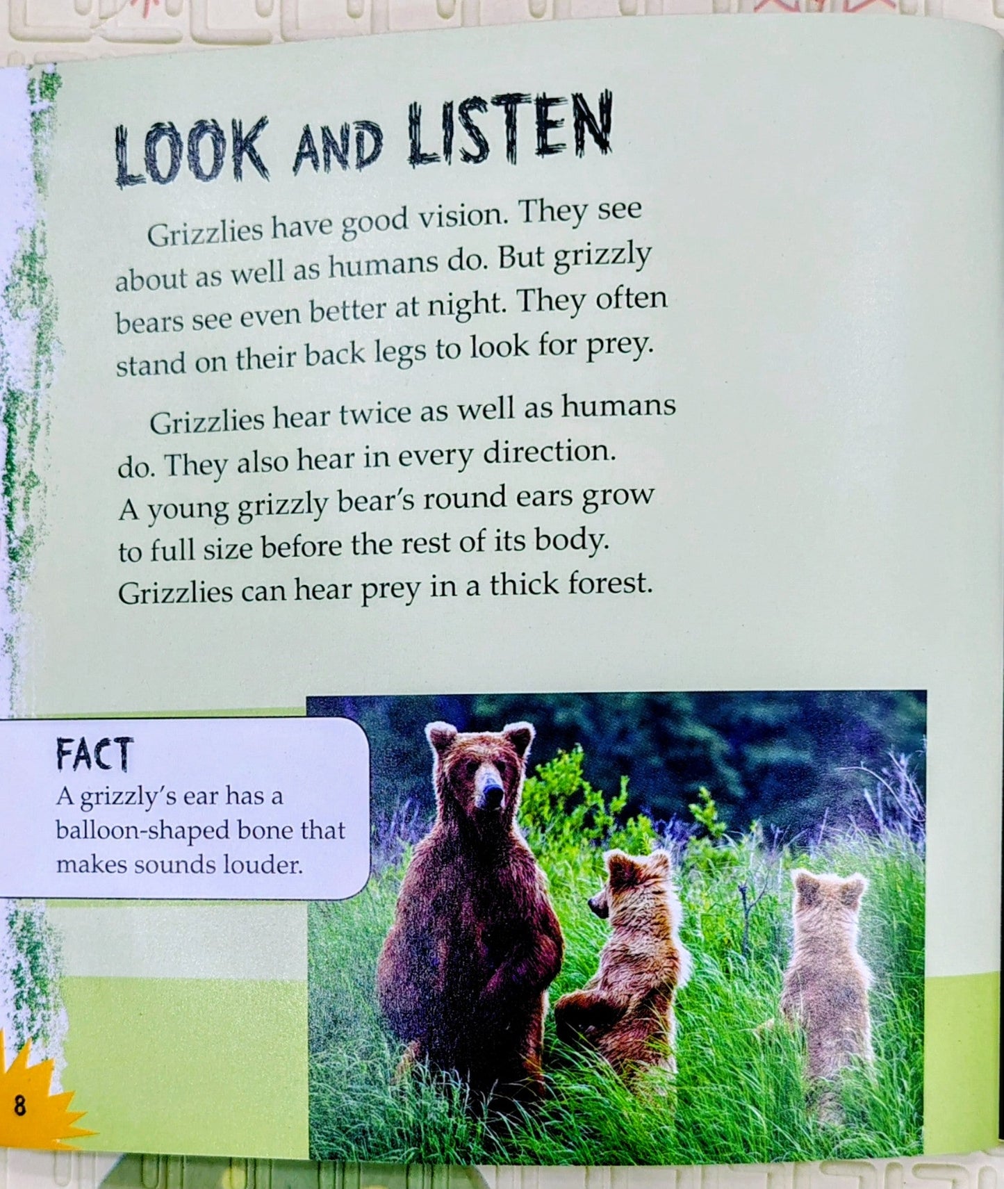 Grizzly Bears: Built for the Hunt by Lori Polydoros | First Facts