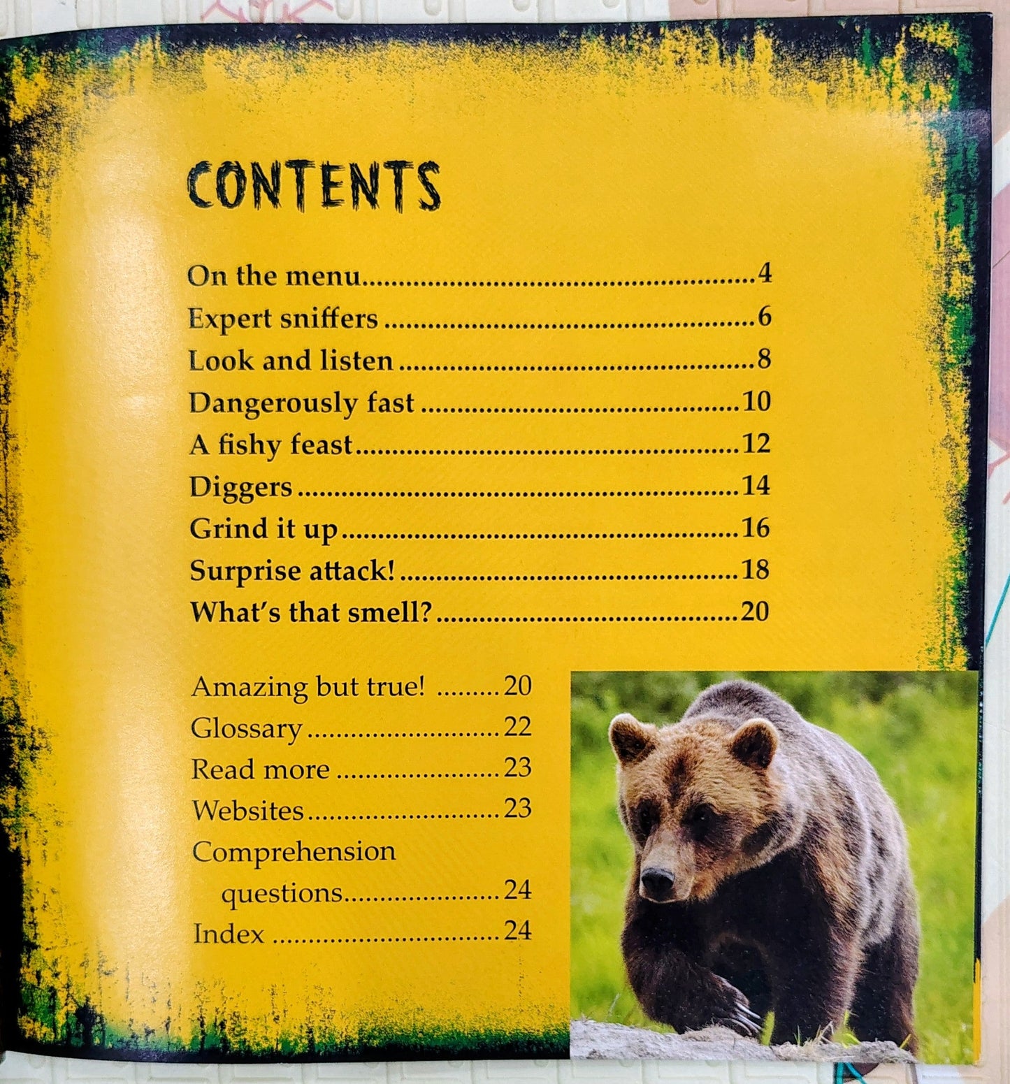 Grizzly Bears: Built for the Hunt by Lori Polydoros | First Facts