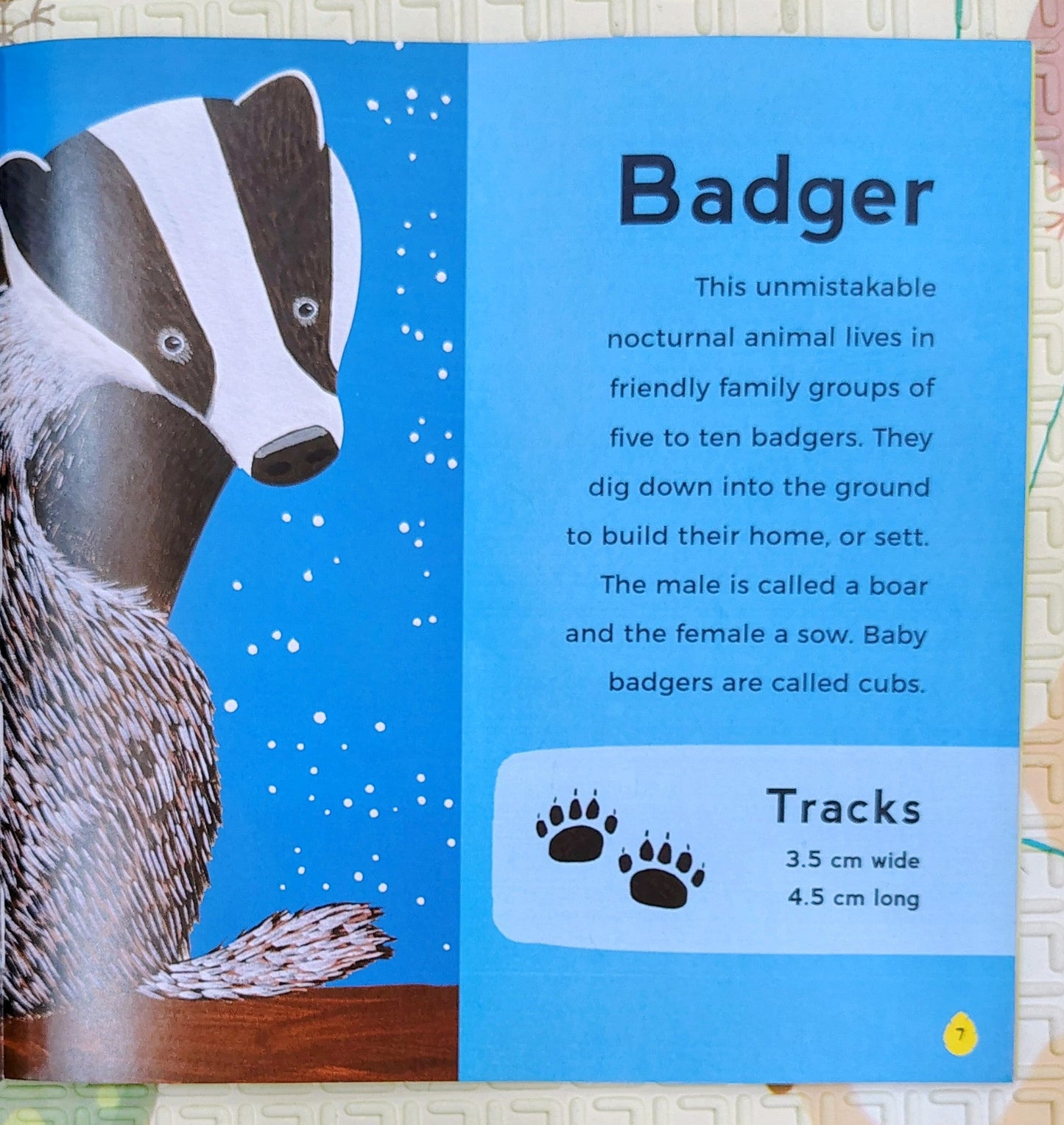 My First Book of Woodland Animals by Zoë Ingram | Walker books
