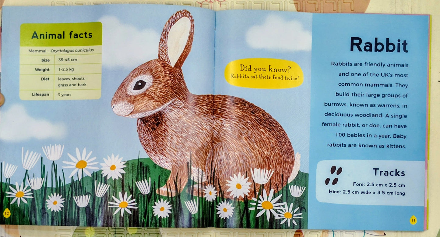 My First Book of Woodland Animals by Zoë Ingram | Walker books