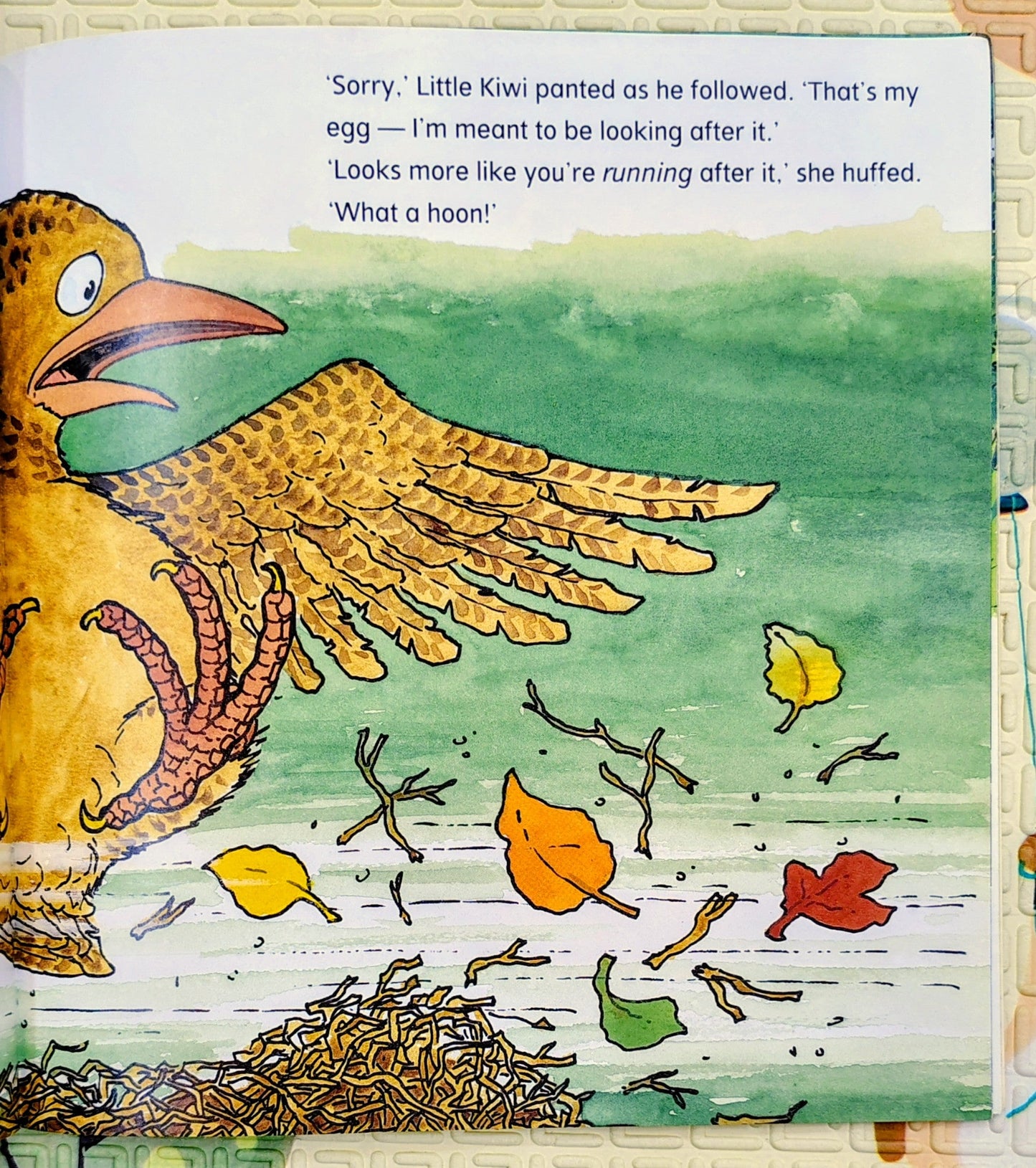 Little Kiwi: Looks After the Egg by Bob Darroch | Puffin Books