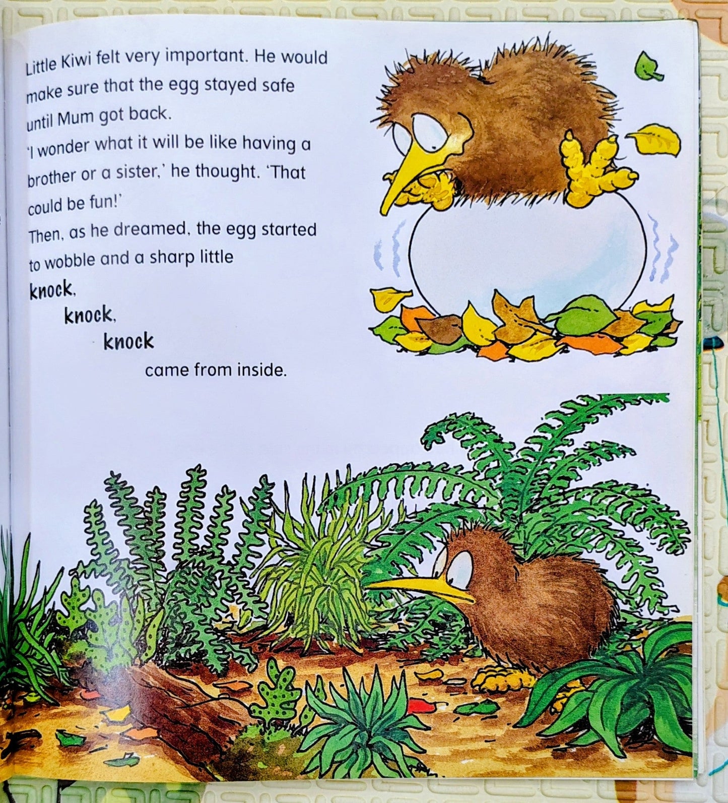 Little Kiwi: Looks After the Egg by Bob Darroch | Puffin Books