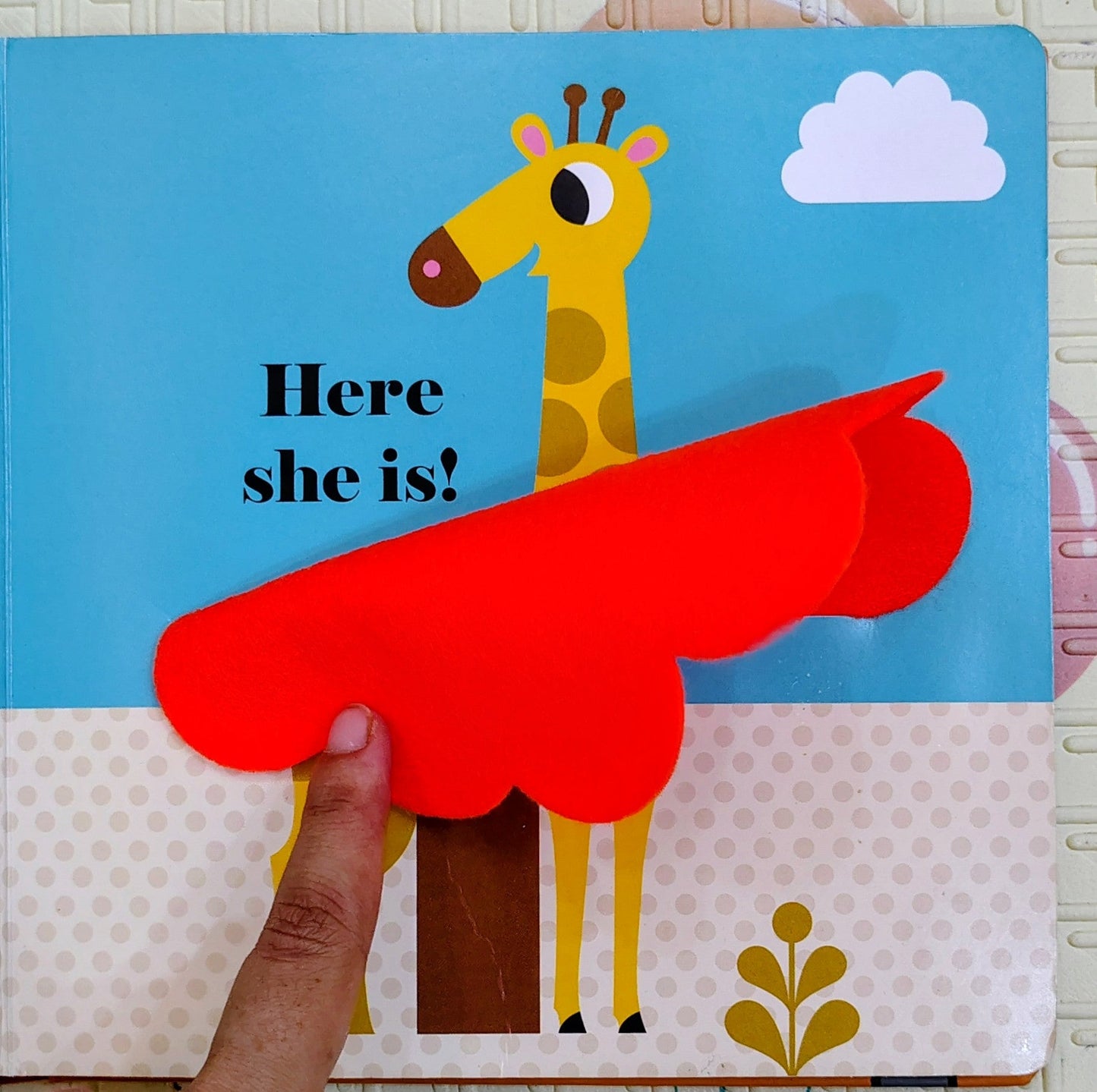Where's Mr Lion? by Ingela P Arrhenius | Nosy Crow | Touch and Feel