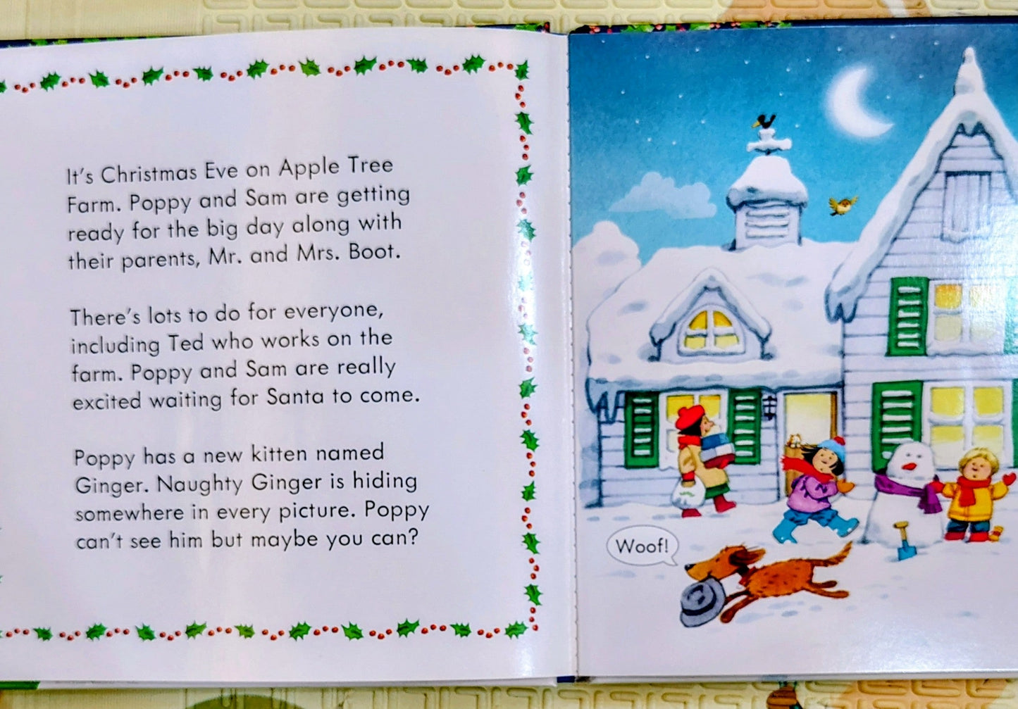 Poppy and Sam's Lift-the-Flap Christmas by Sam Taplin | Usborne