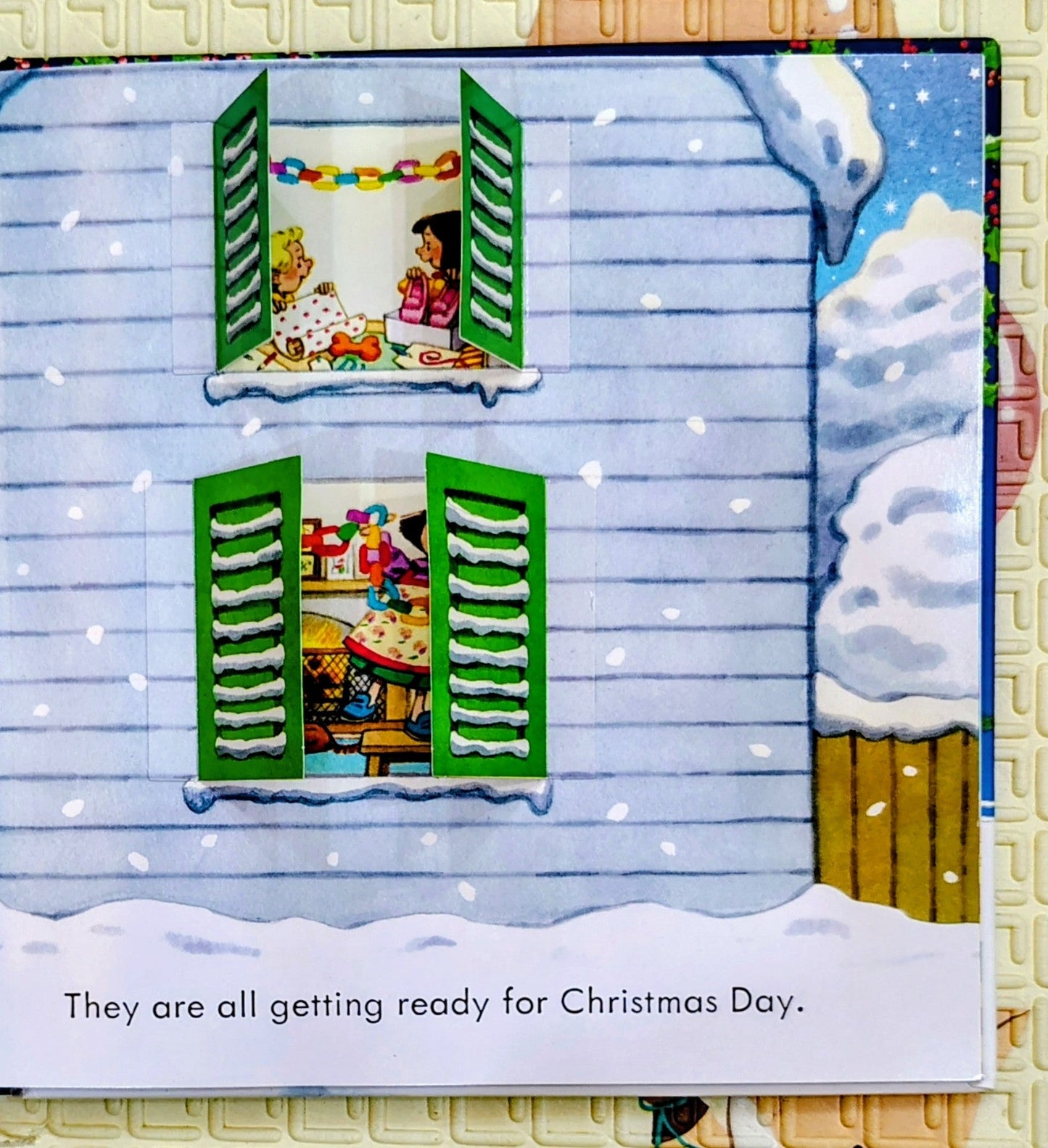 Poppy and Sam's Lift-the-Flap Christmas by Sam Taplin | Usborne