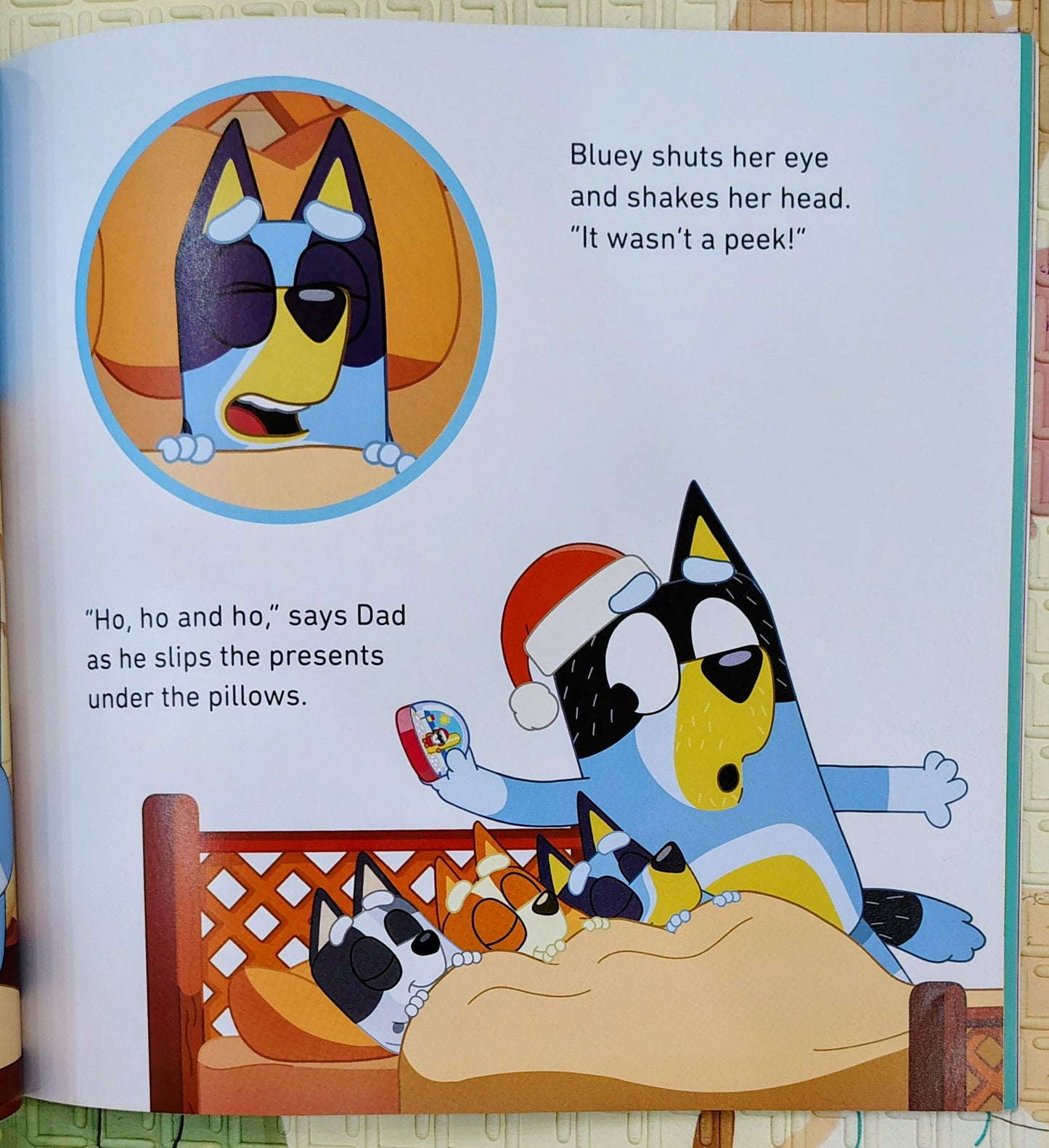 Bluey: Christmas Eve with Verandah Santa | Ladybird