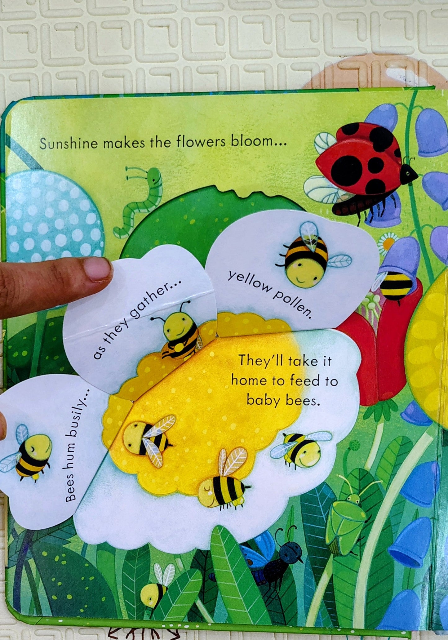 Peep Inside The Garden by Simona Dimitri | Usborne