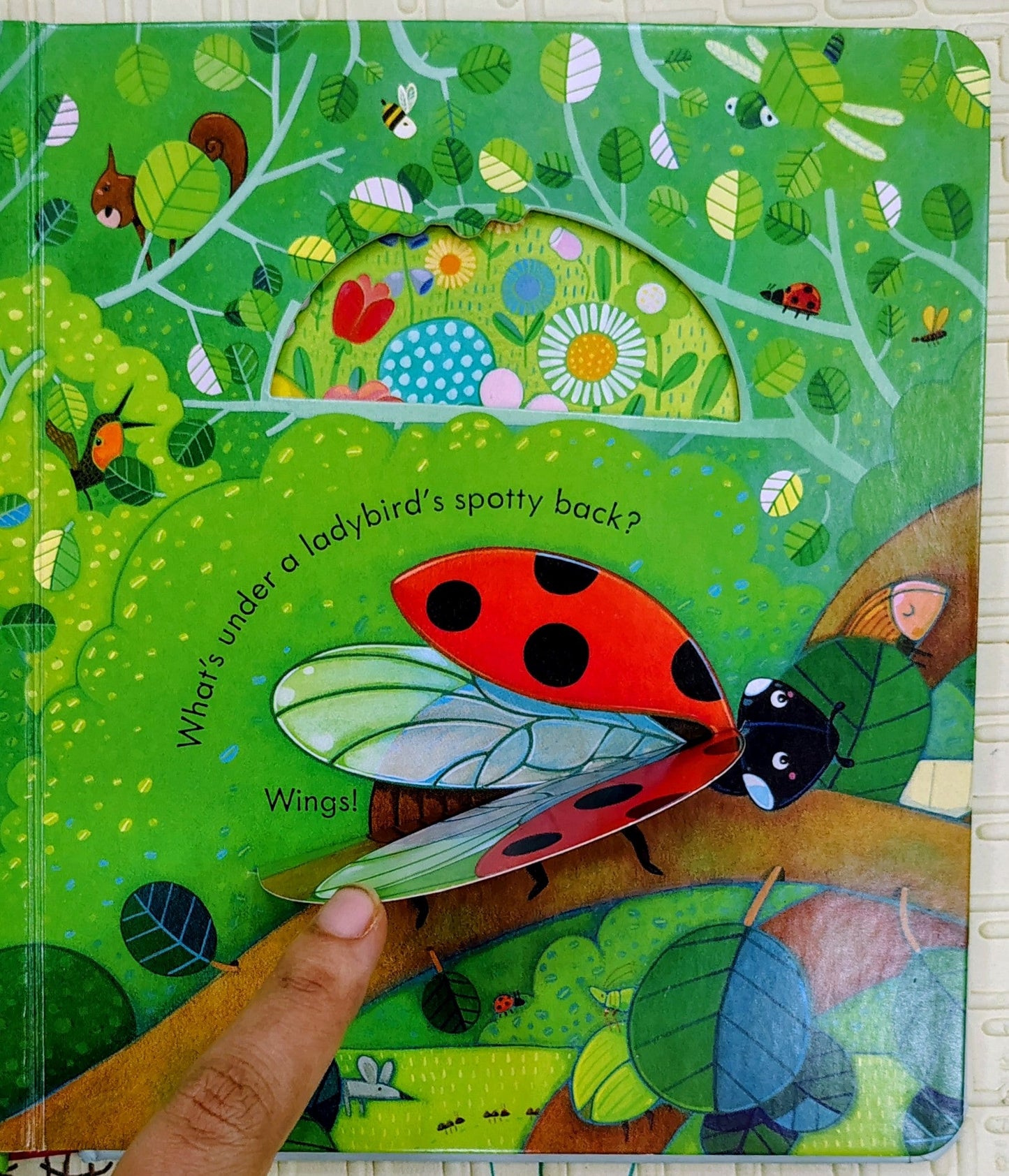 Peep Inside The Garden by Simona Dimitri | Usborne