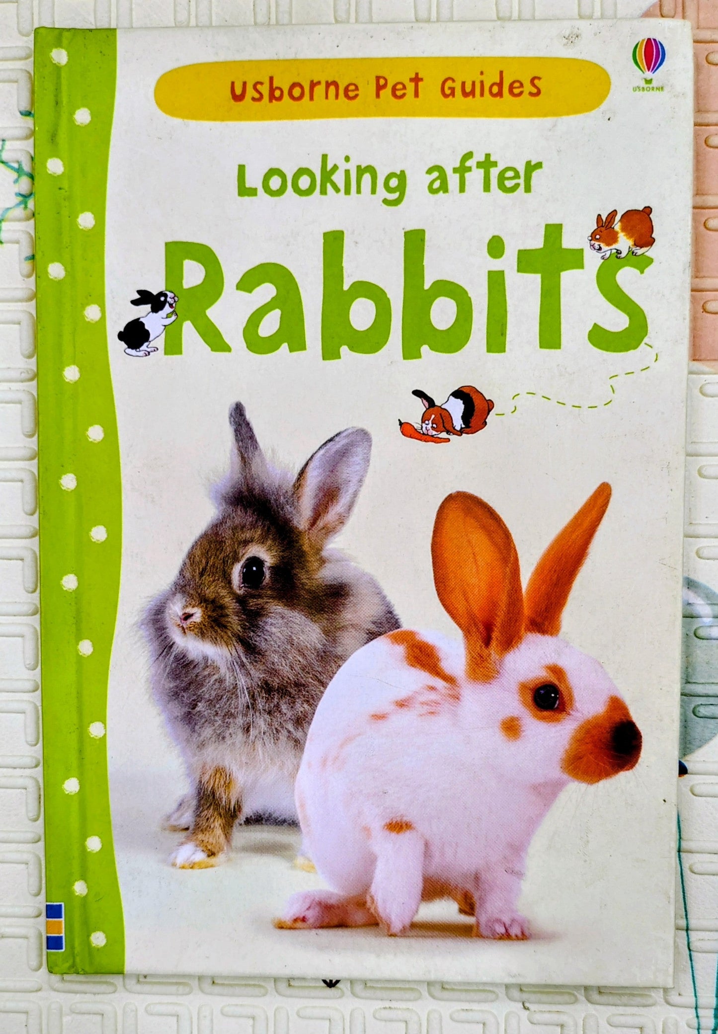 Looking After Rabbits by Usborne | Usborne Pet Guides