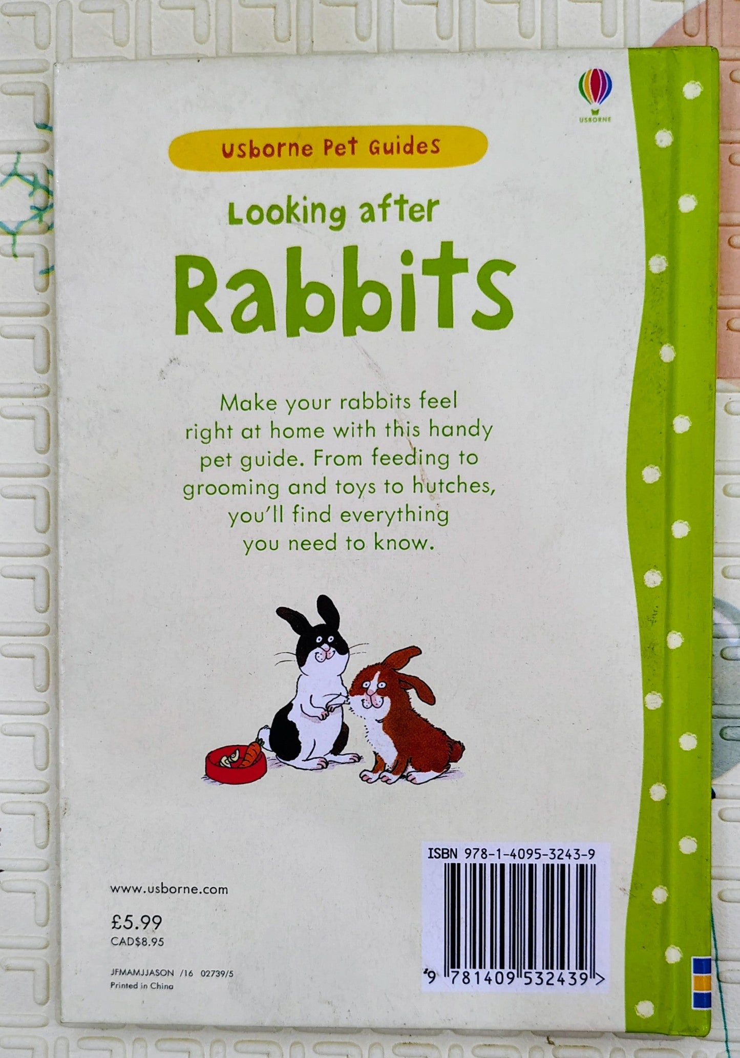 Looking After Rabbits by Usborne | Usborne Pet Guides