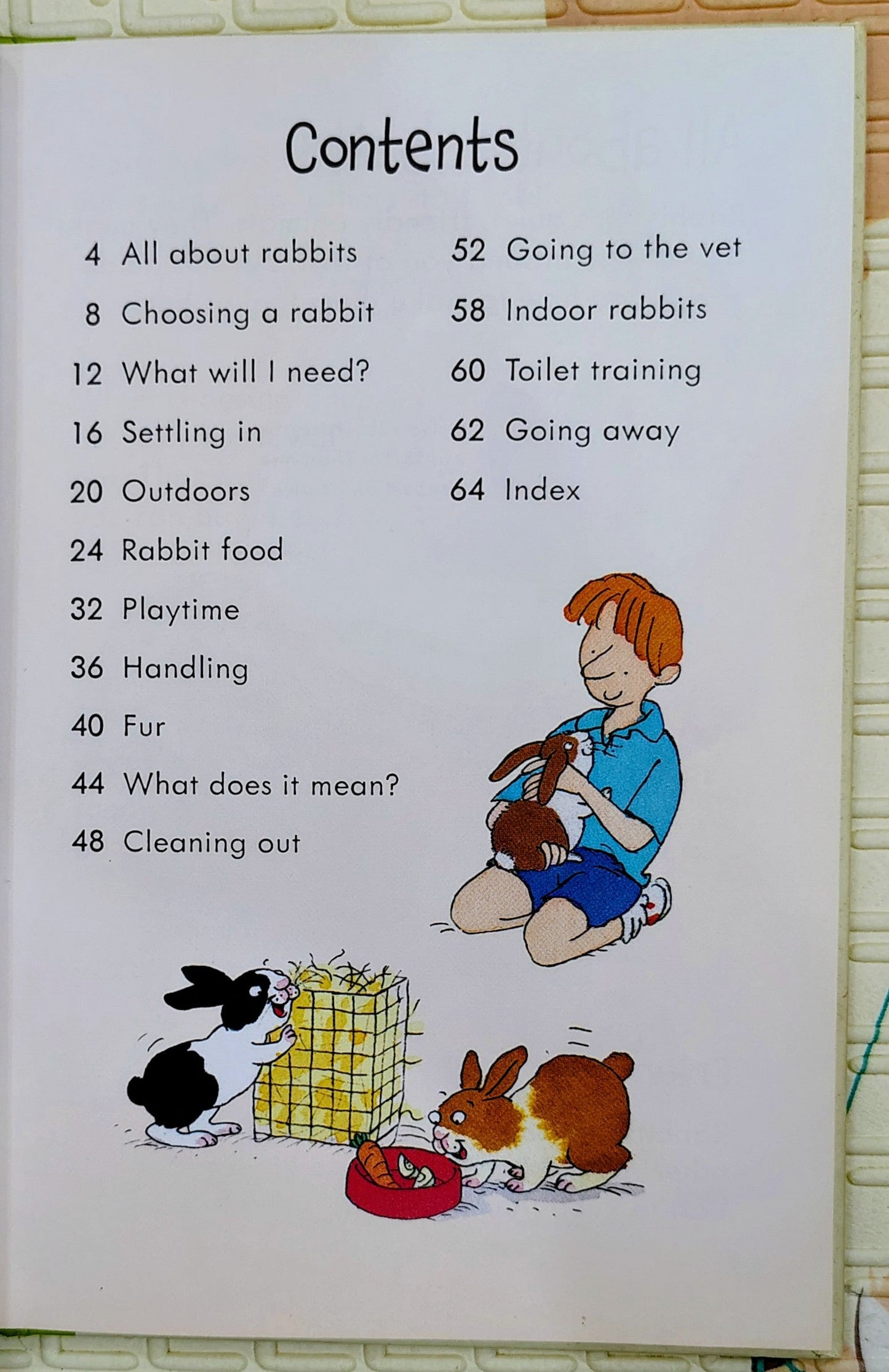 Looking After Rabbits by Usborne | Usborne Pet Guides