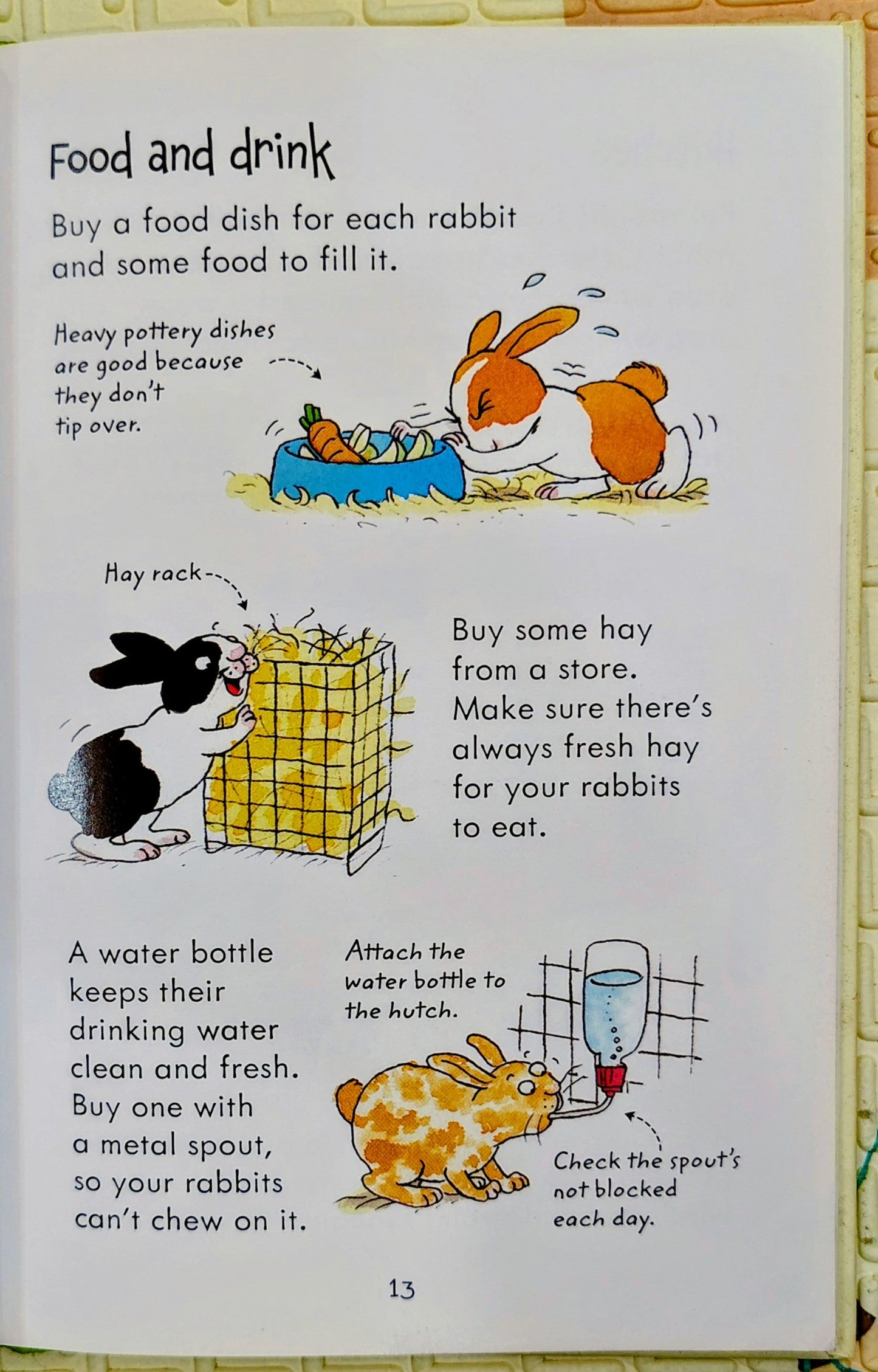 Looking After Rabbits by Usborne | Usborne Pet Guides