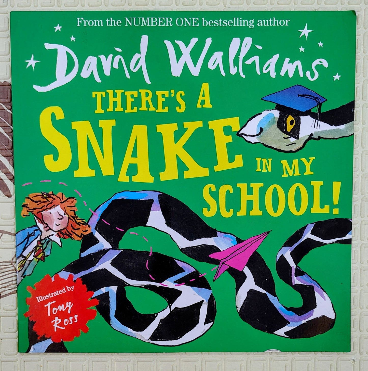 There's a Snake in My School by David Walliams | Tony Ross
