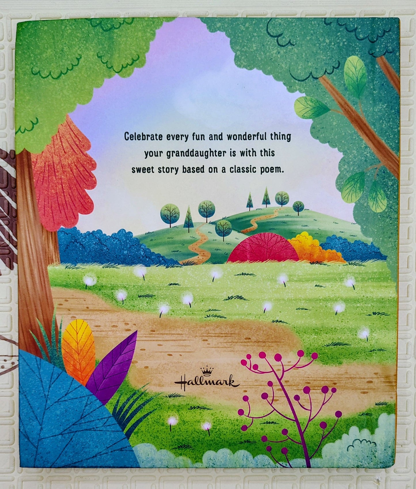What Are Granddaughters Made Of? by Ellen Brenneman | Recordable Sound Storybook
