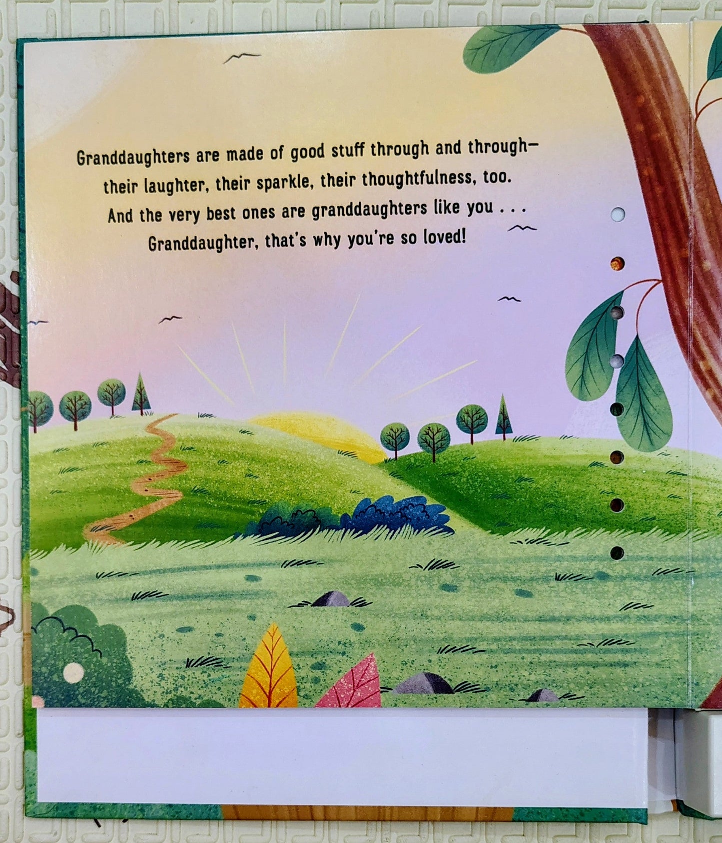 What Are Granddaughters Made Of? by Ellen Brenneman | Recordable Sound Storybook