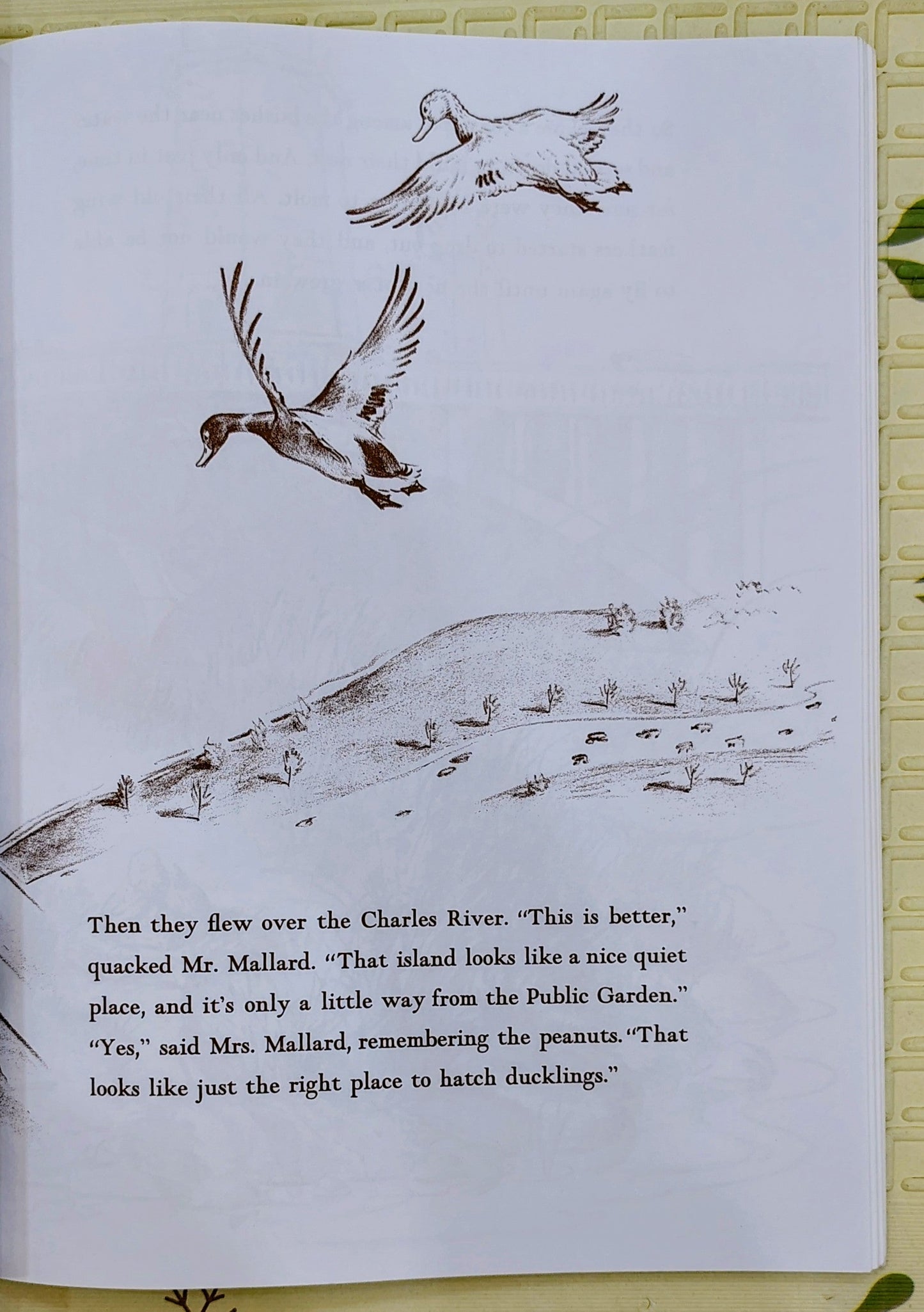 Make Way for Ducklings by Robert McCloskey | Puffin Books