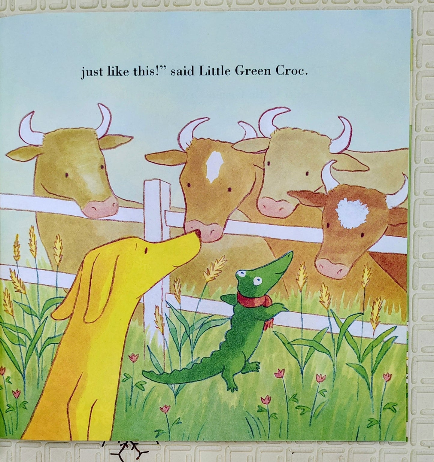 Melrose and Croc: Find a Smile by Emma Chichester Clark | Harper Collins