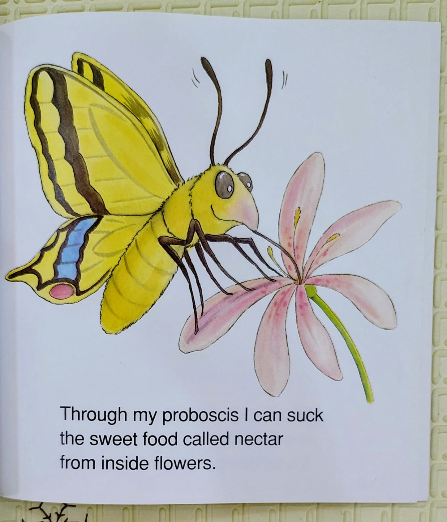 I am a Butterfly by Louise Voce