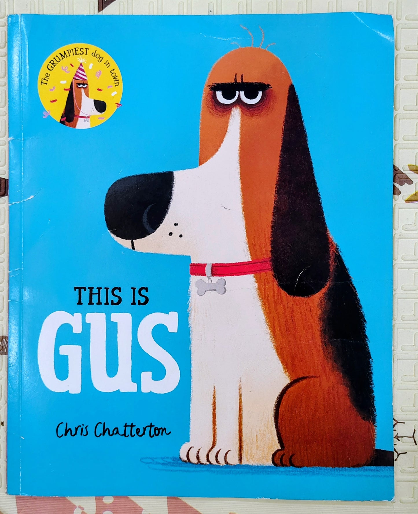 This Is Gus by Chris Chatterton | Macmillan
