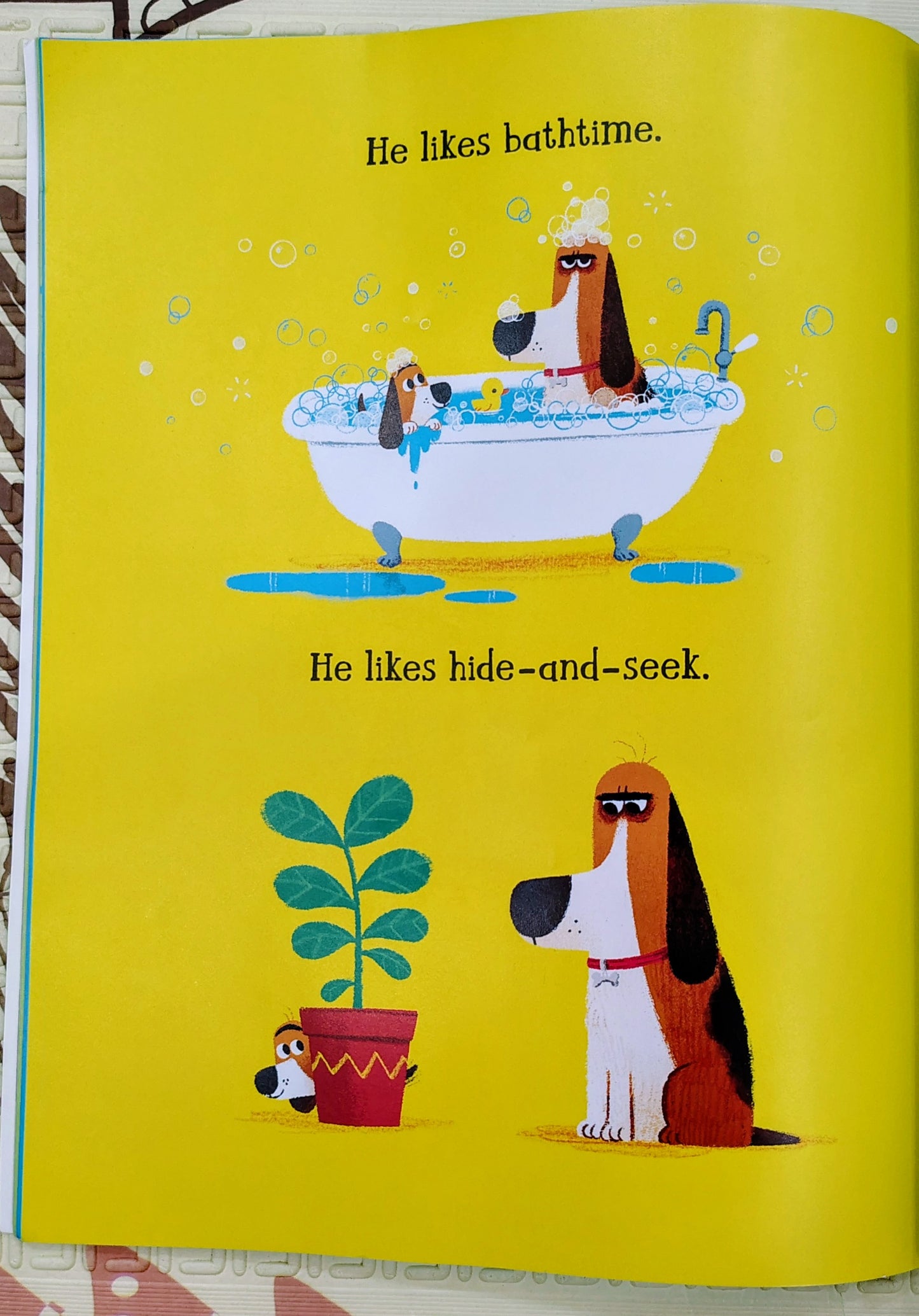 This Is Gus by Chris Chatterton | Macmillan