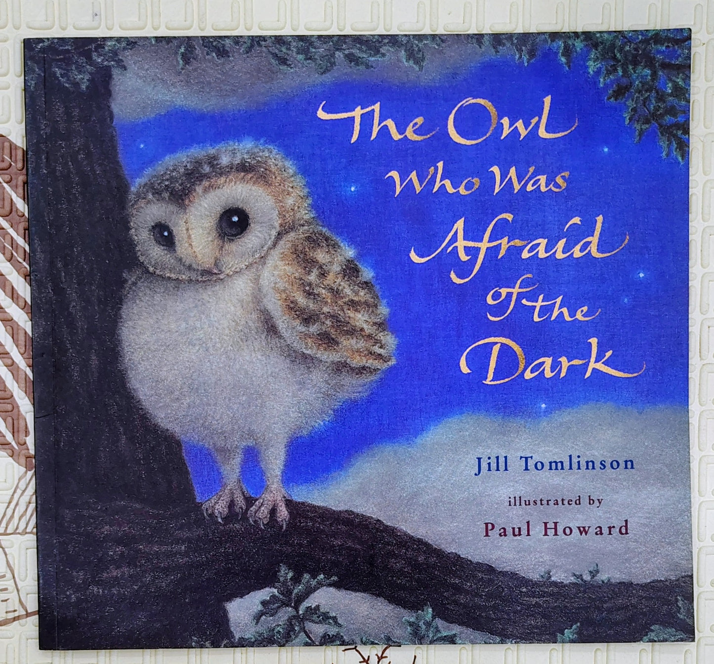 The Owl Who Was Afraid of the Dark by Jill Tomlinson | Egmont
