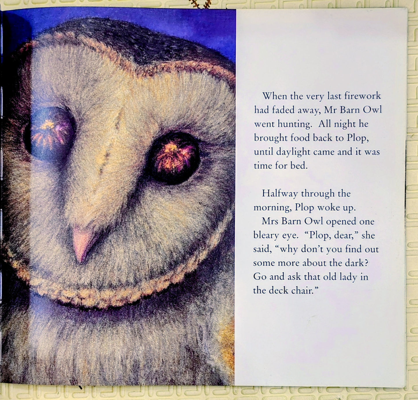 The Owl Who Was Afraid of the Dark by Jill Tomlinson | Egmont