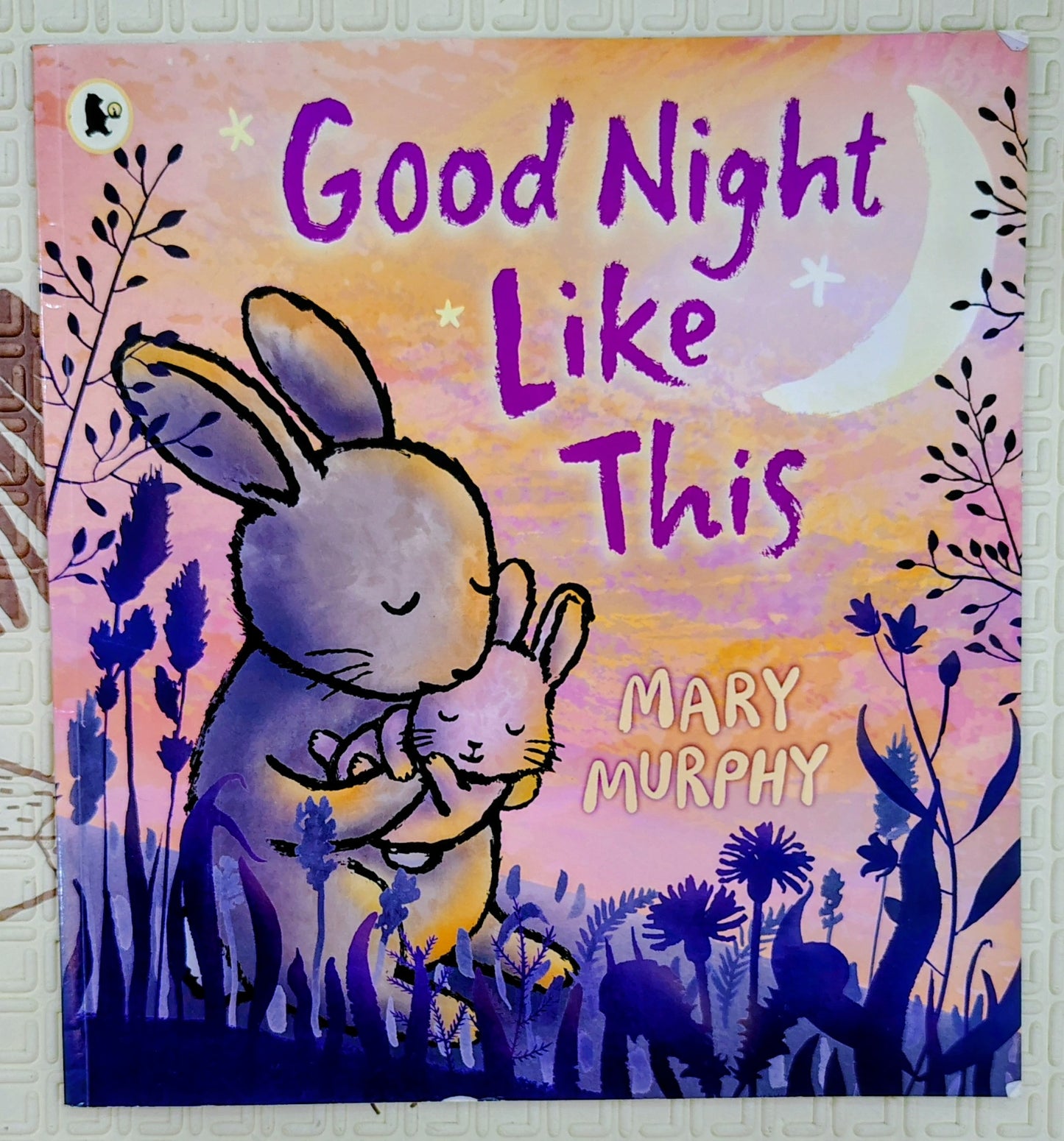 Good Night Like This by Mary Murphy | Walker books