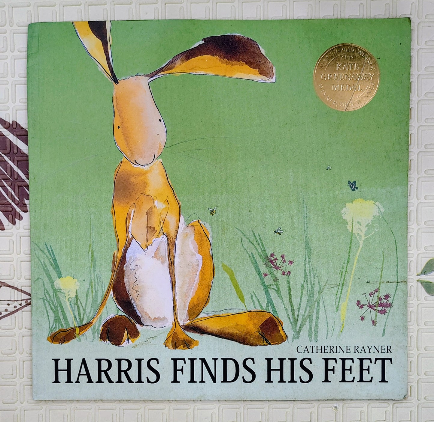 Harris Finds His Feet by Catherine Rayner | Little Tiger Press