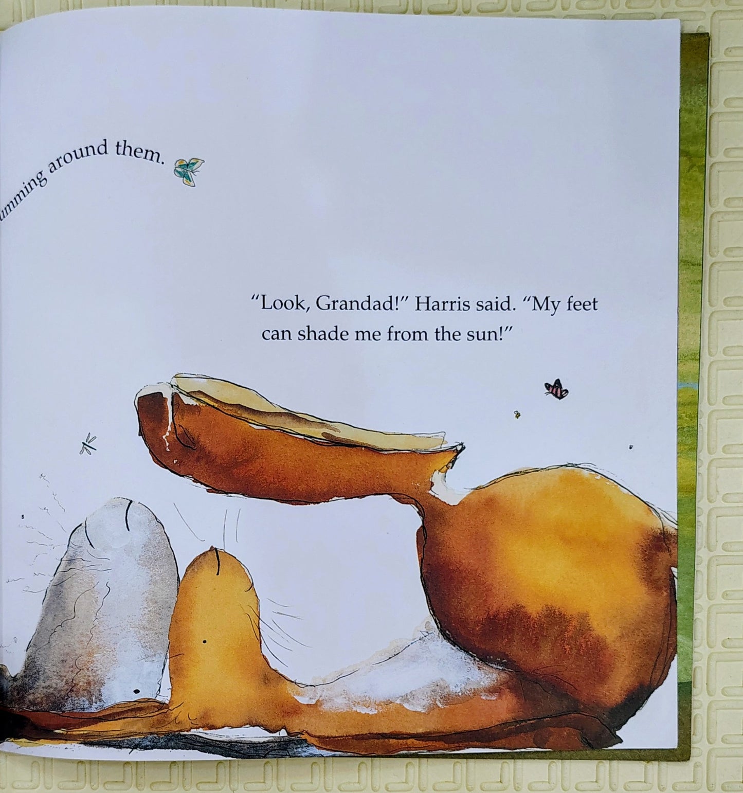 Harris Finds His Feet by Catherine Rayner | Little Tiger Press