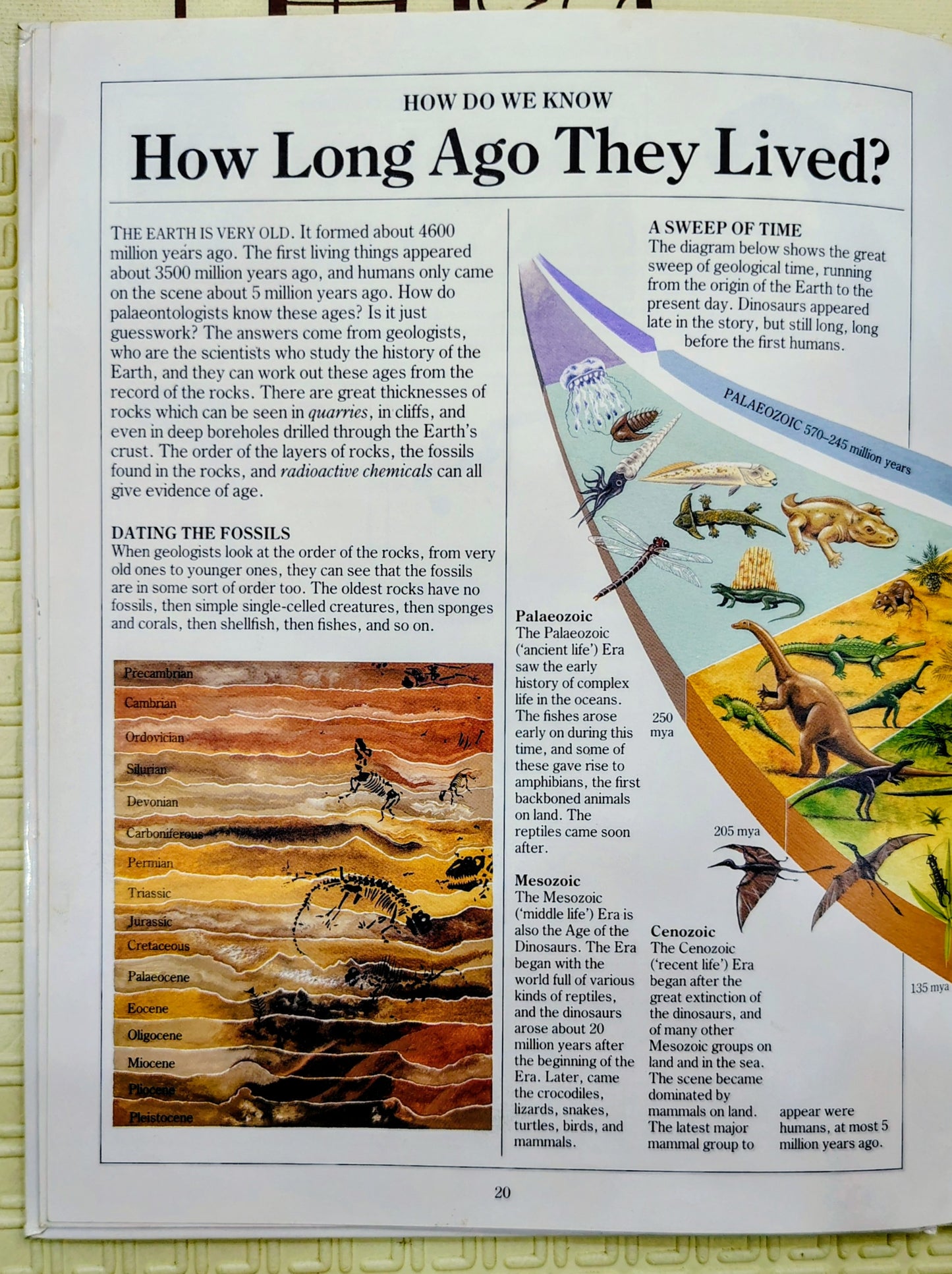 How Do We Know Dinosaurs Existed? by Mike Benton | Simon & Schuster