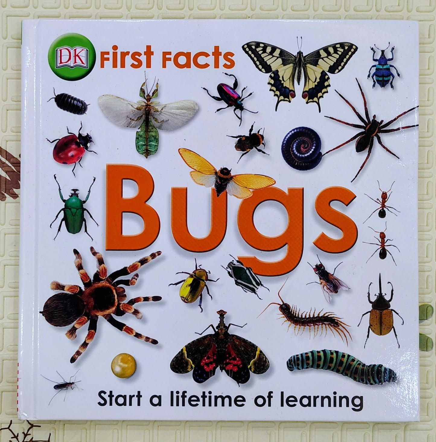 First Facts: Bugs by DK | Boardbook