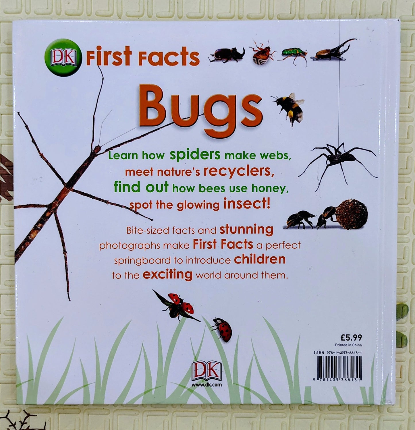 First Facts: Bugs by DK | Boardbook