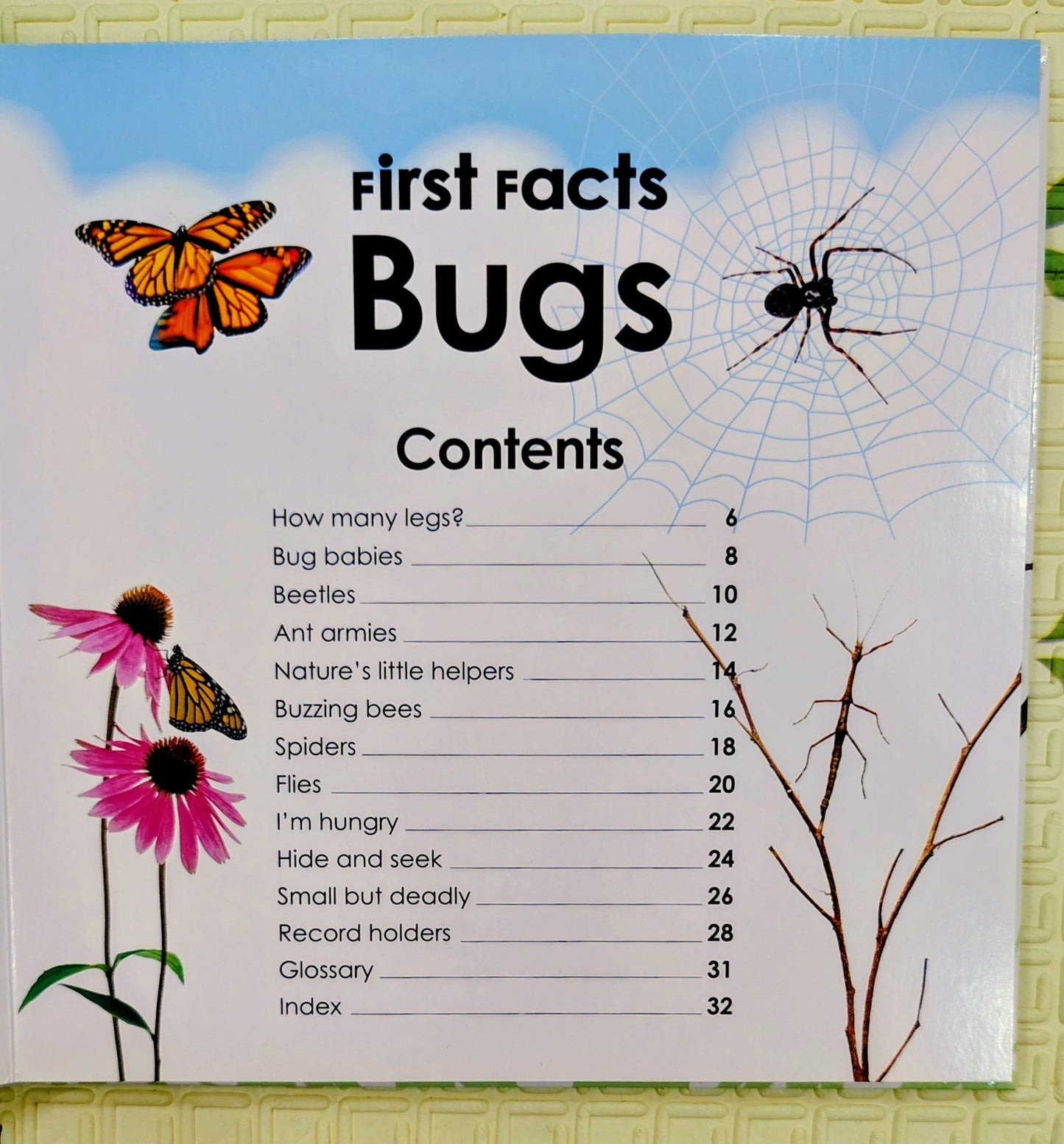 First Facts: Bugs by DK | Boardbook