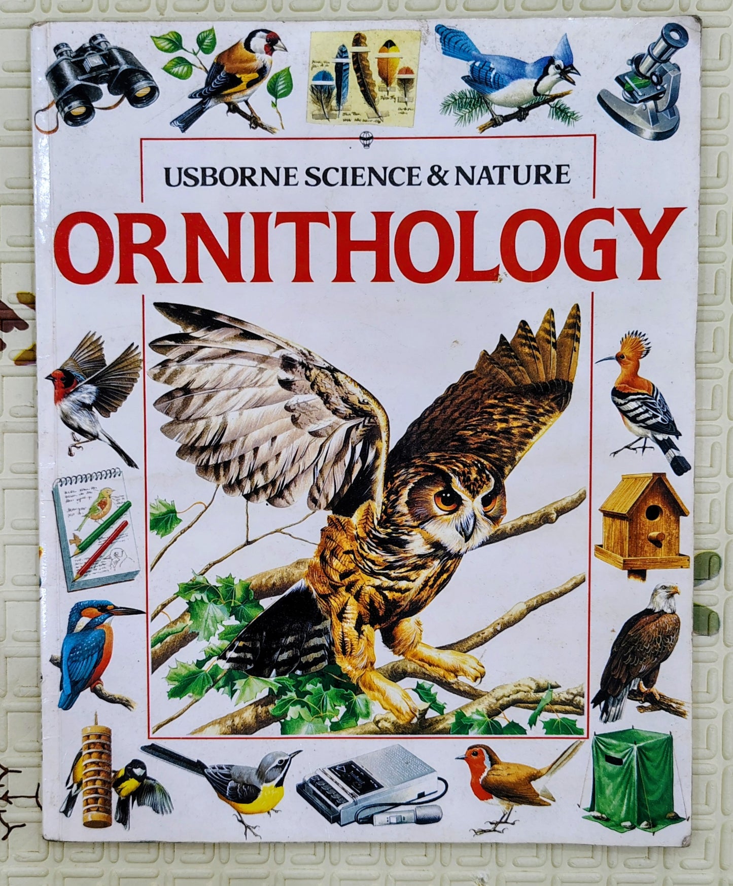 Ornithology by Usborne | Usborne Science and Nature