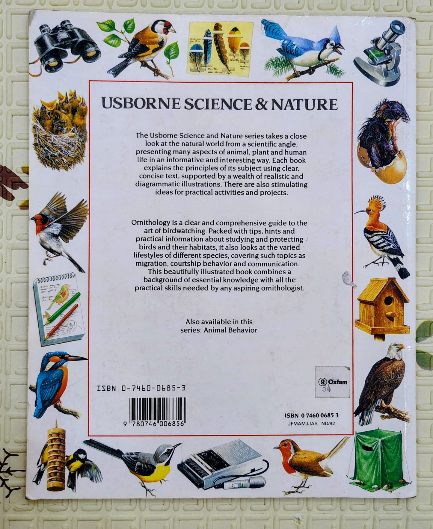 Ornithology by Usborne | Usborne Science and Nature