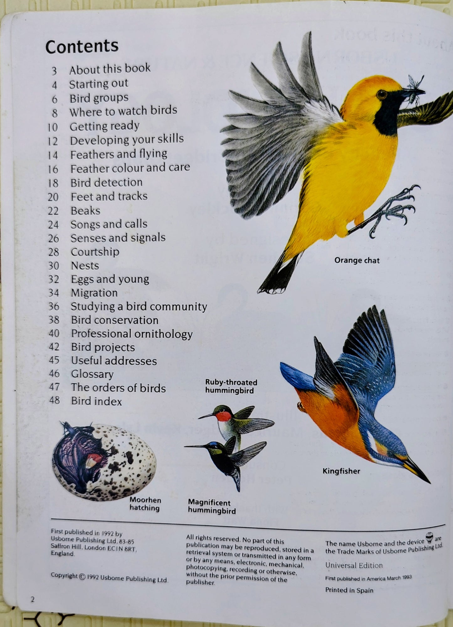 Ornithology by Usborne | Usborne Science and Nature