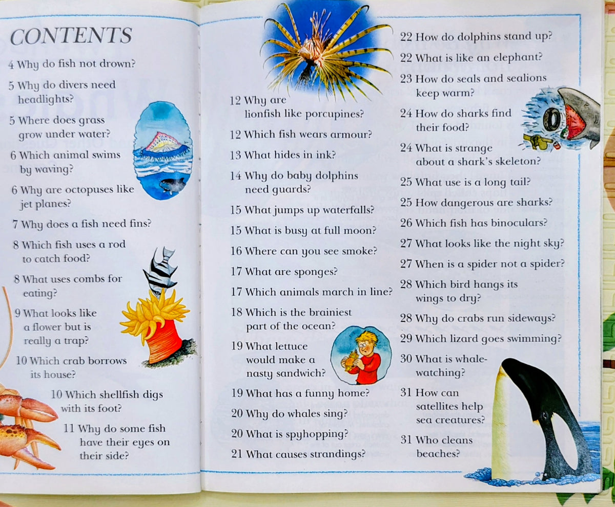 I Wonder Why Whales Sing by Malcolm Sanders | Kingfisher