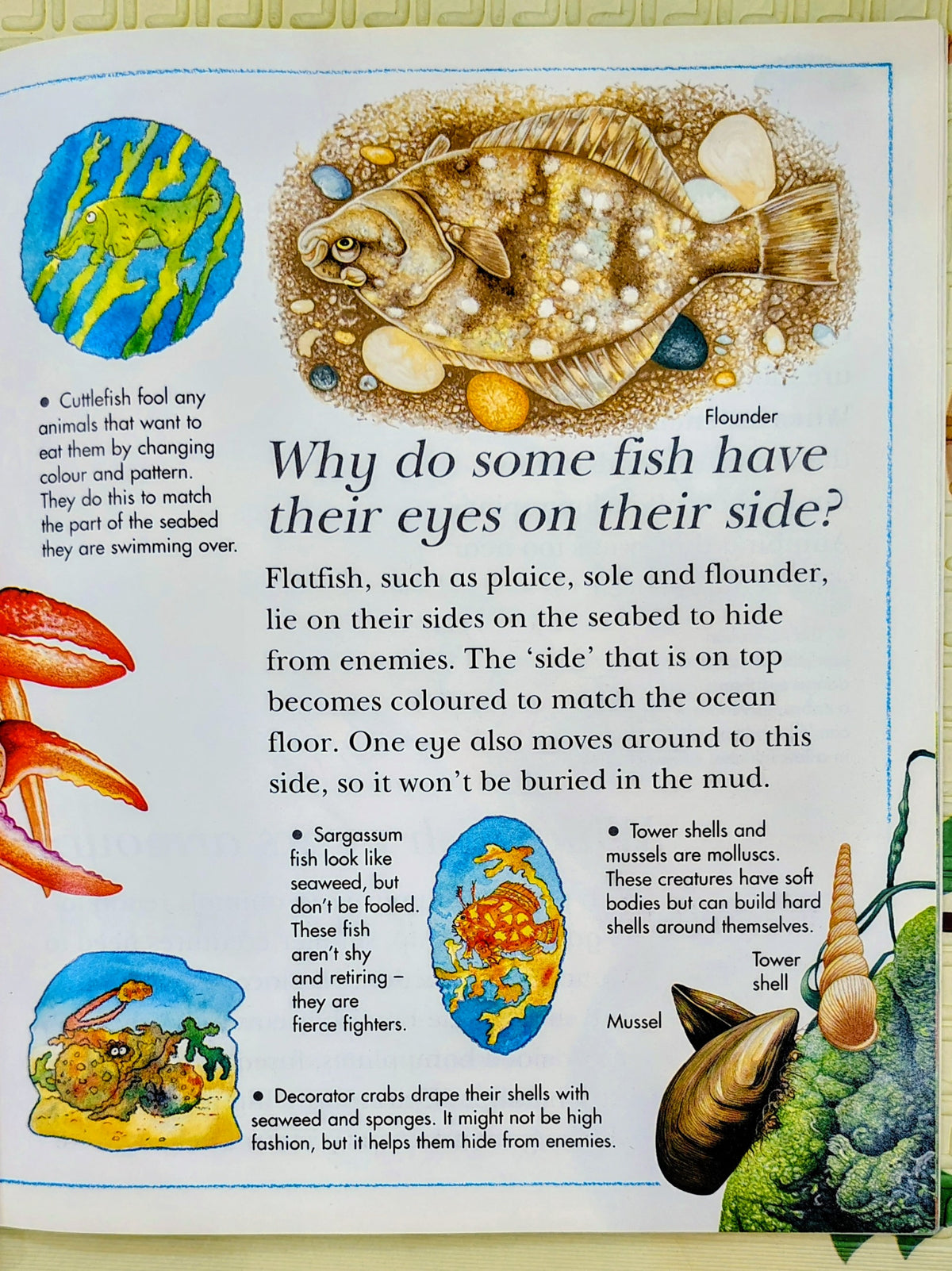 I Wonder Why Whales Sing by Malcolm Sanders | Kingfisher