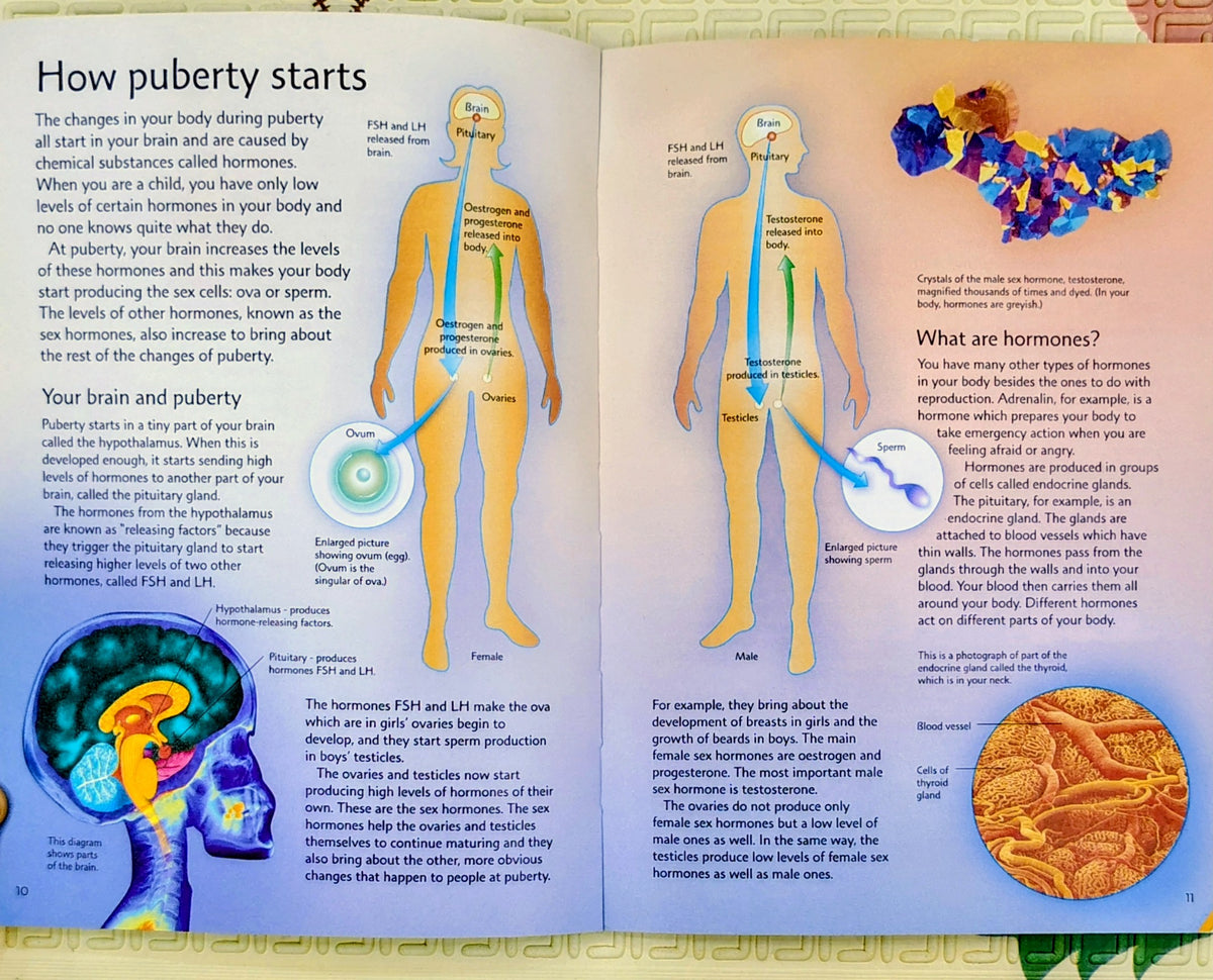 Growing Up | Usborne Facts of Life