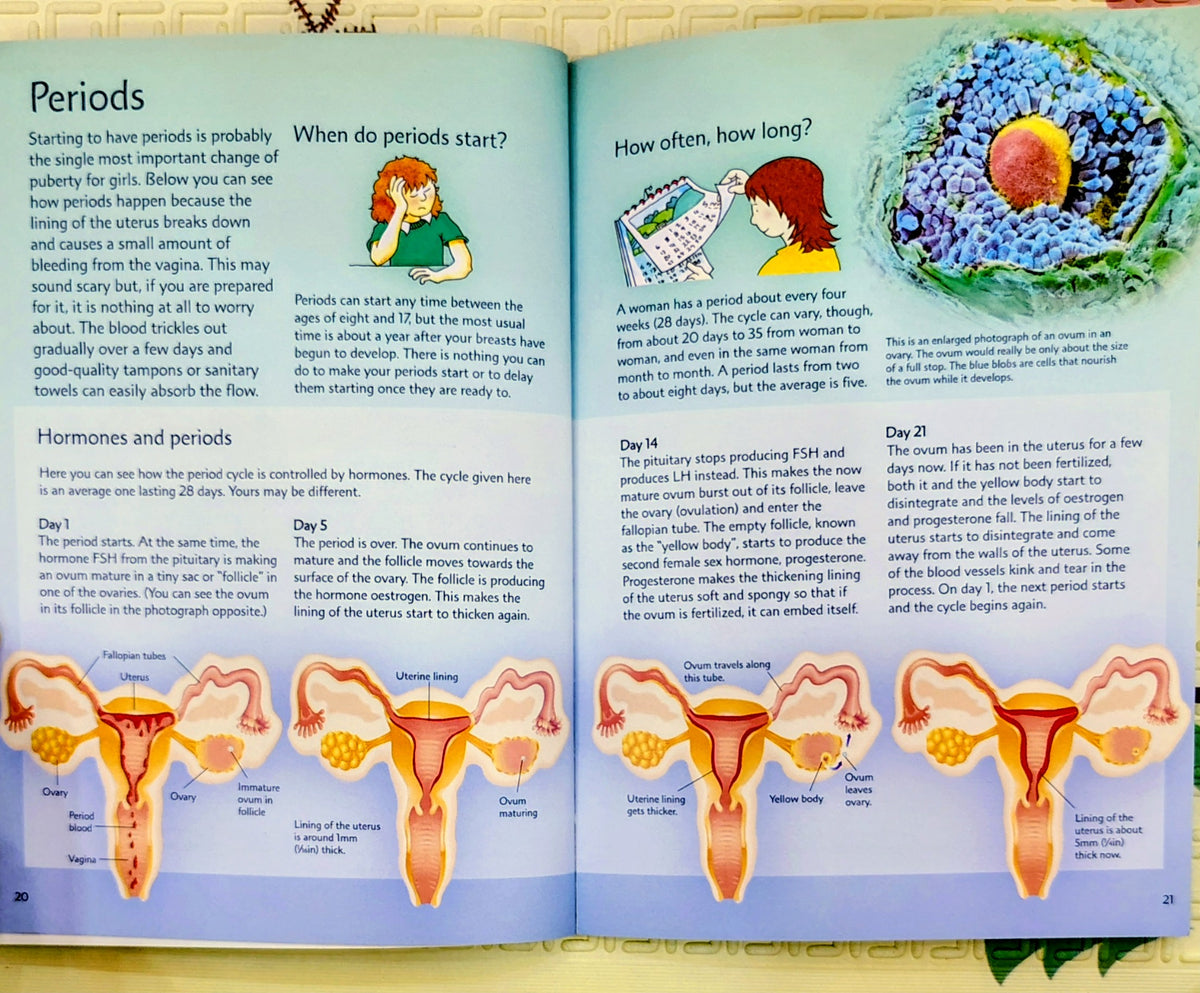 Growing Up | Usborne Facts of Life