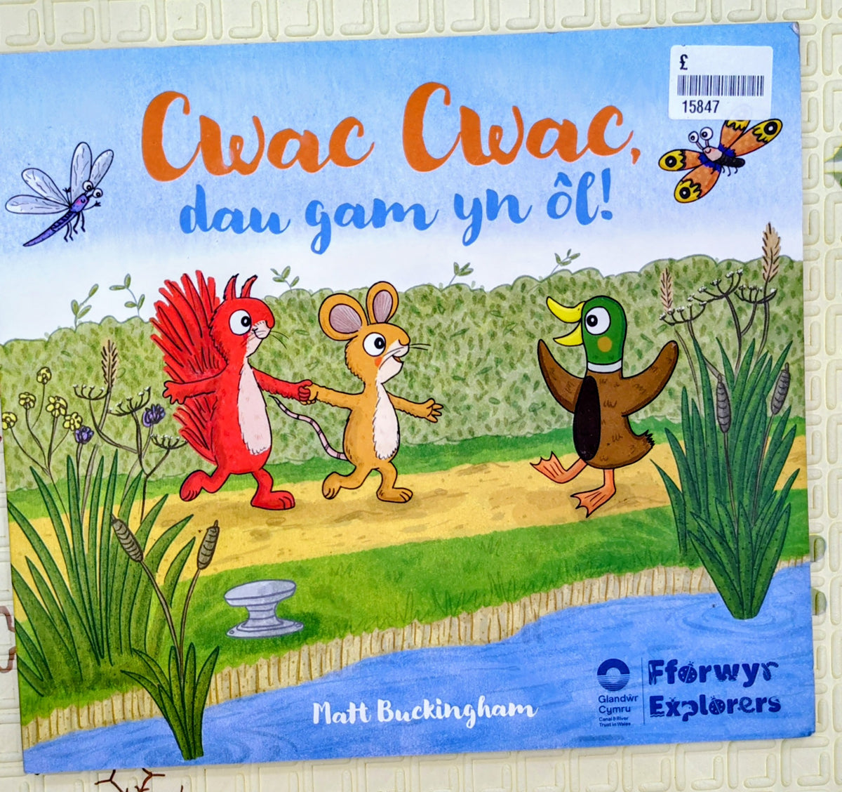 Quack, Quack, Take two steps back! by Matt Buckingham | 1 story in 2 language
