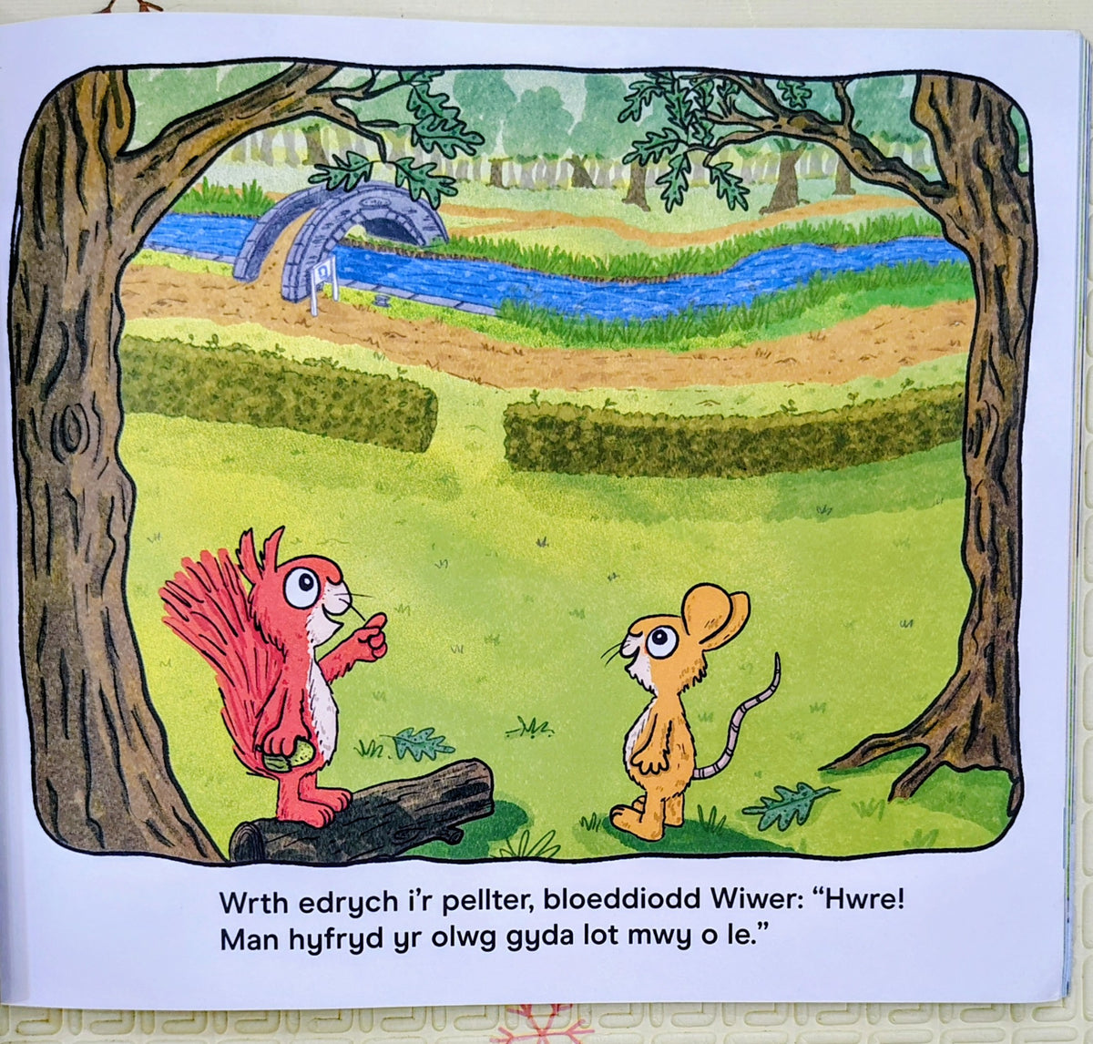 Quack, Quack, Take two steps back! by Matt Buckingham | 1 story in 2 language