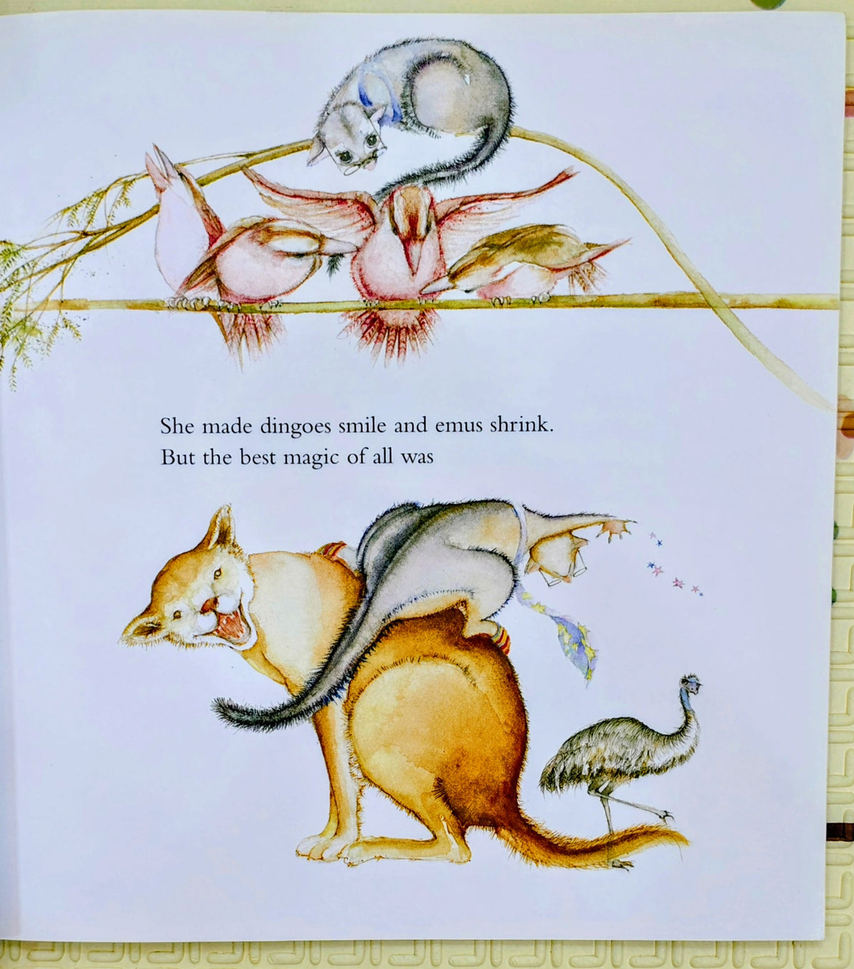 Possum Magic by Mem Fox and Julie Vivas | Scholastic