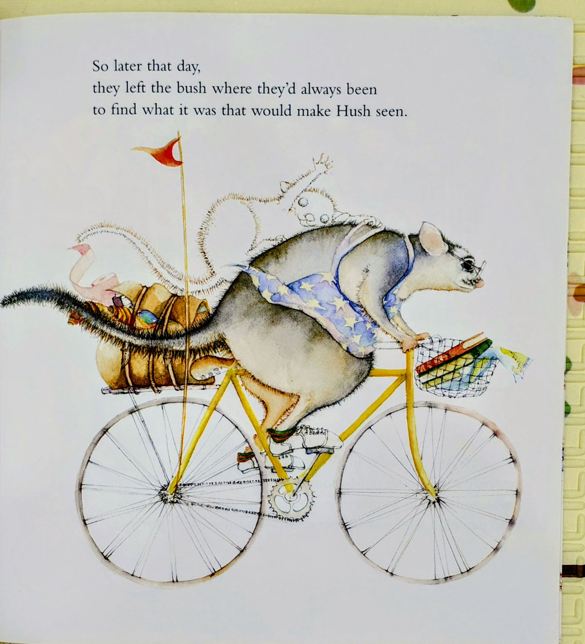 Possum Magic by Mem Fox and Julie Vivas | Scholastic