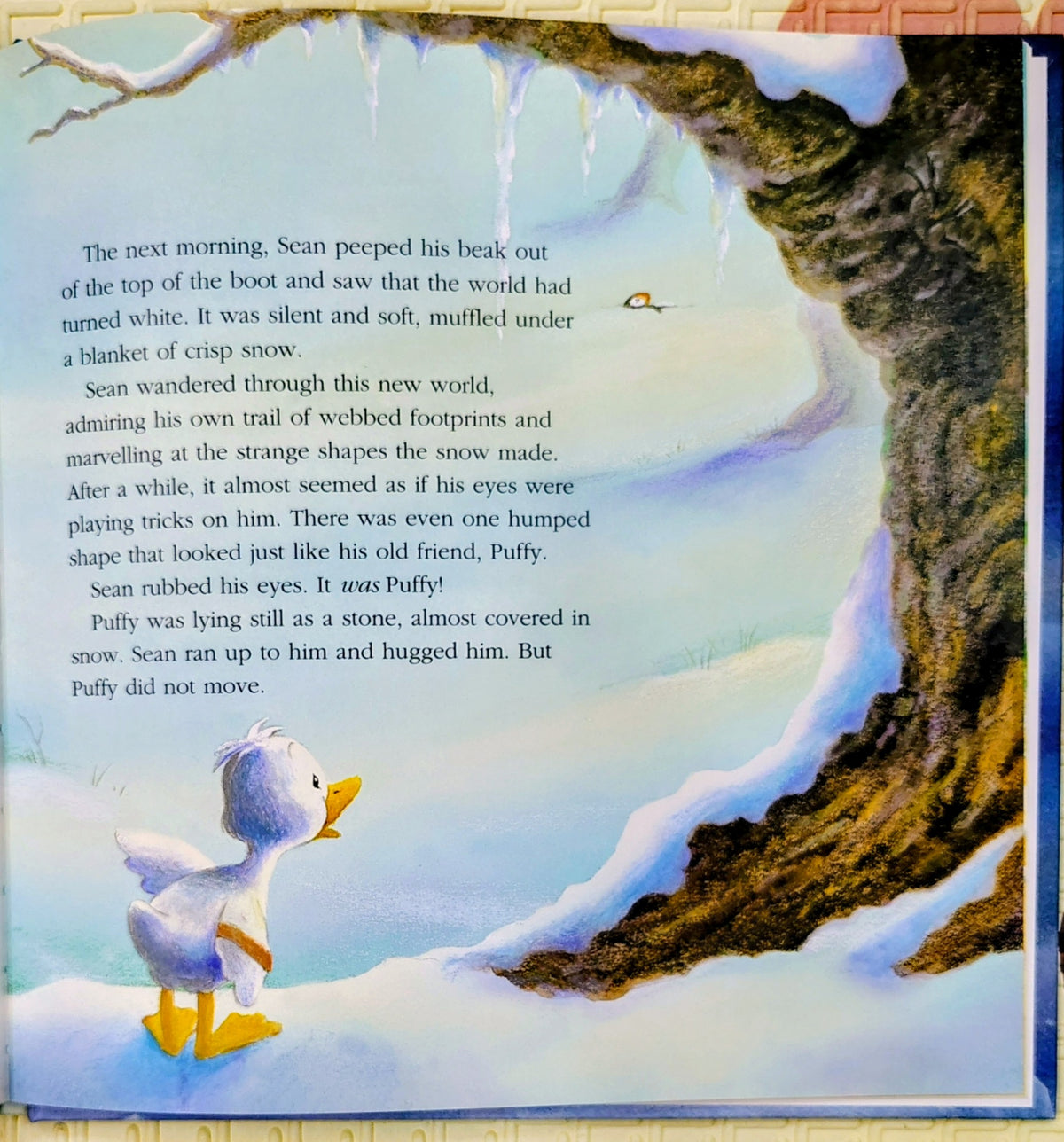 The First Snow of Winter by Graham Ralph | BBC