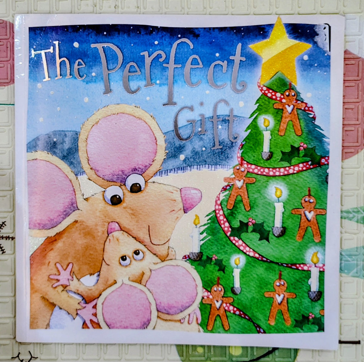 The Perfect Gift by Tim Bugbird and Nadine Wickenden