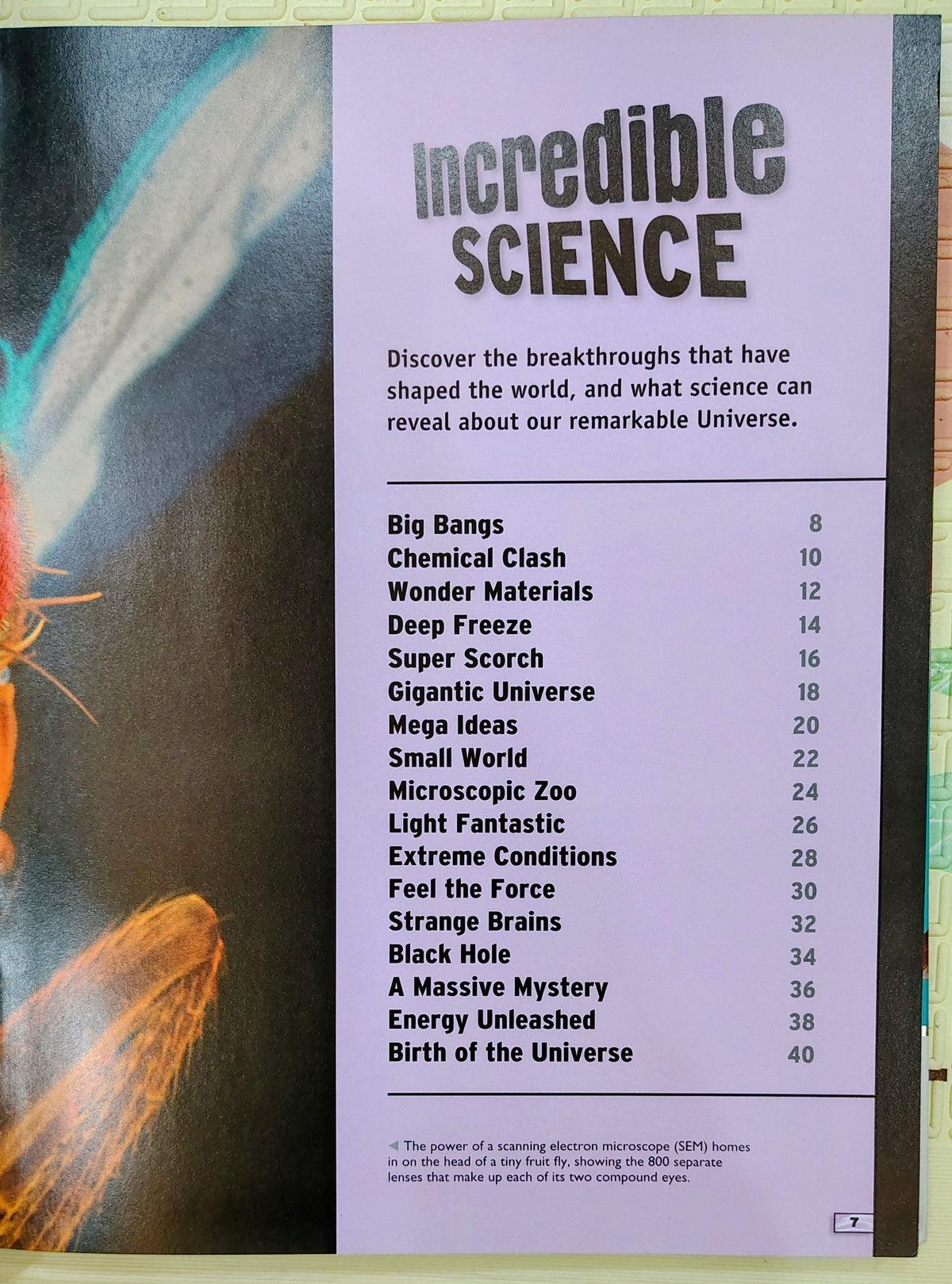 The Science Book by Miles Kelly